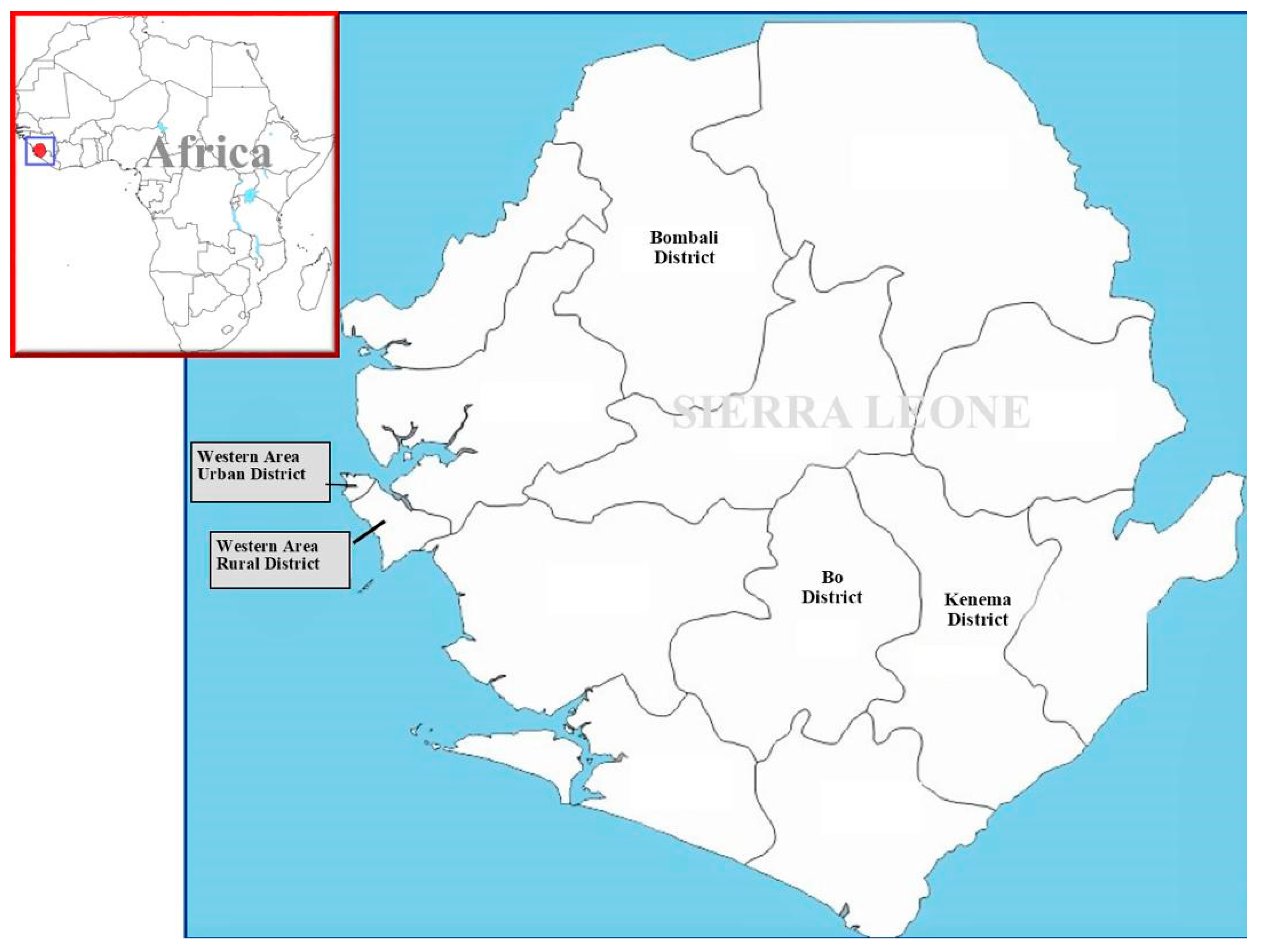 Medicina 55 00387 g001 550