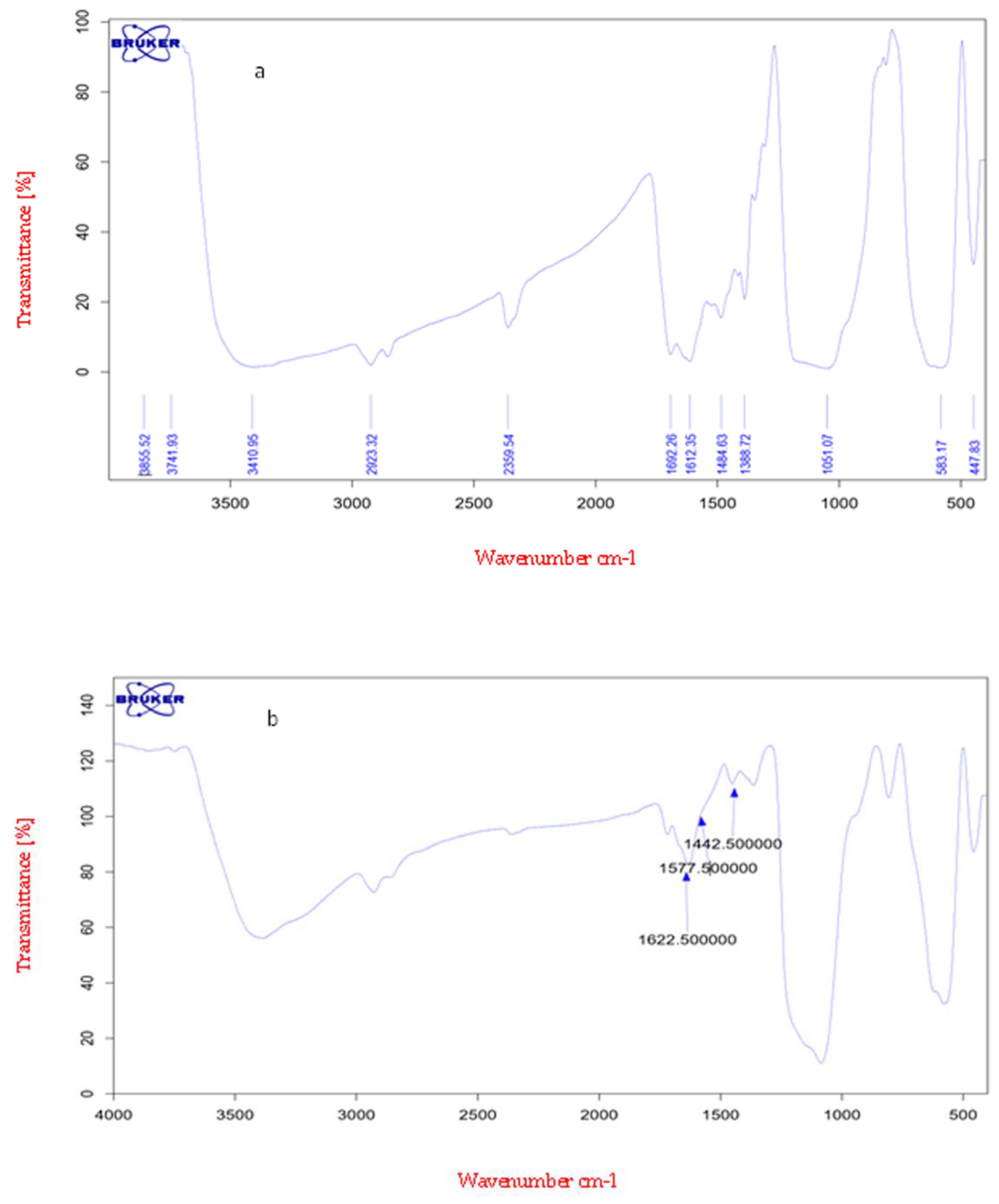 Medicina 55 00388 g001 Medicina 55 00388 g001