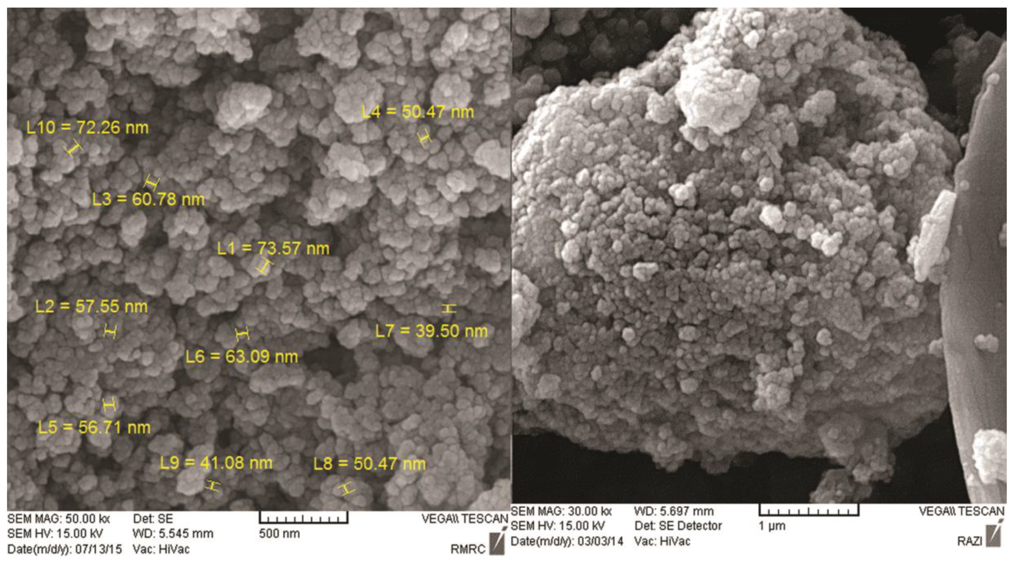Medicina 55 00388 g002 Medicina 55 00388 g002