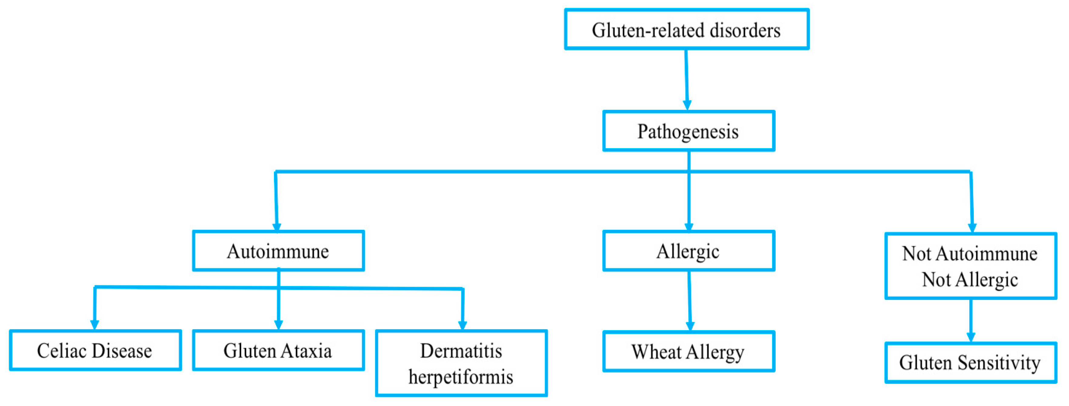 Medicina 55 00400 g001