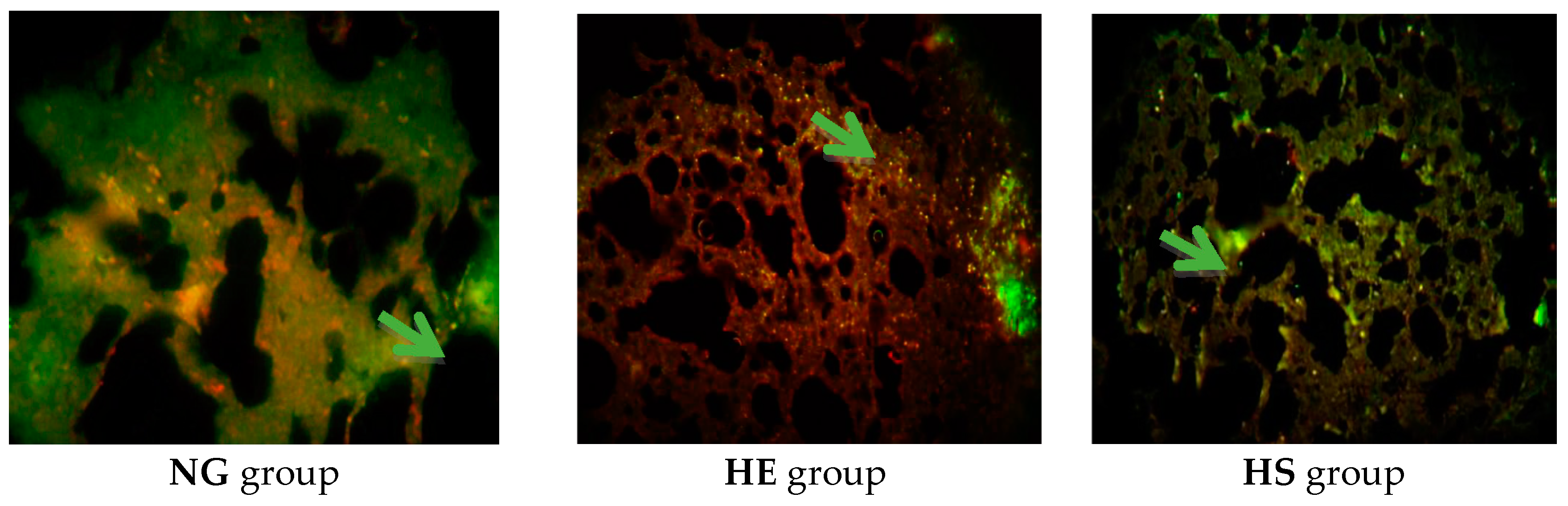 Medicina 55 00401 g002