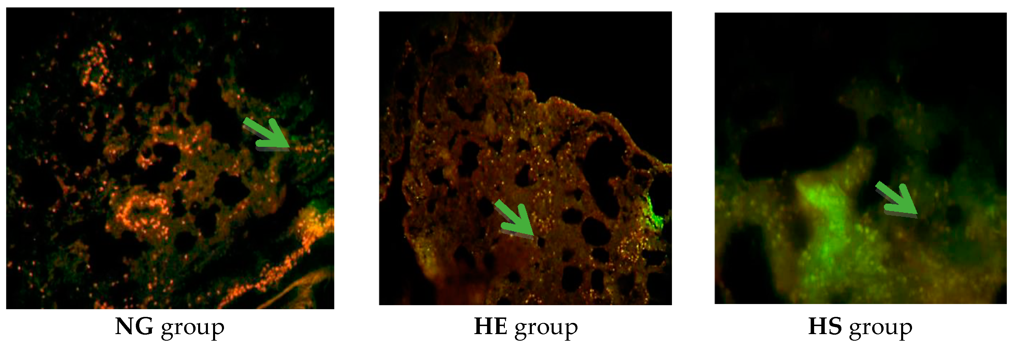 Medicina 55 00401 g003
