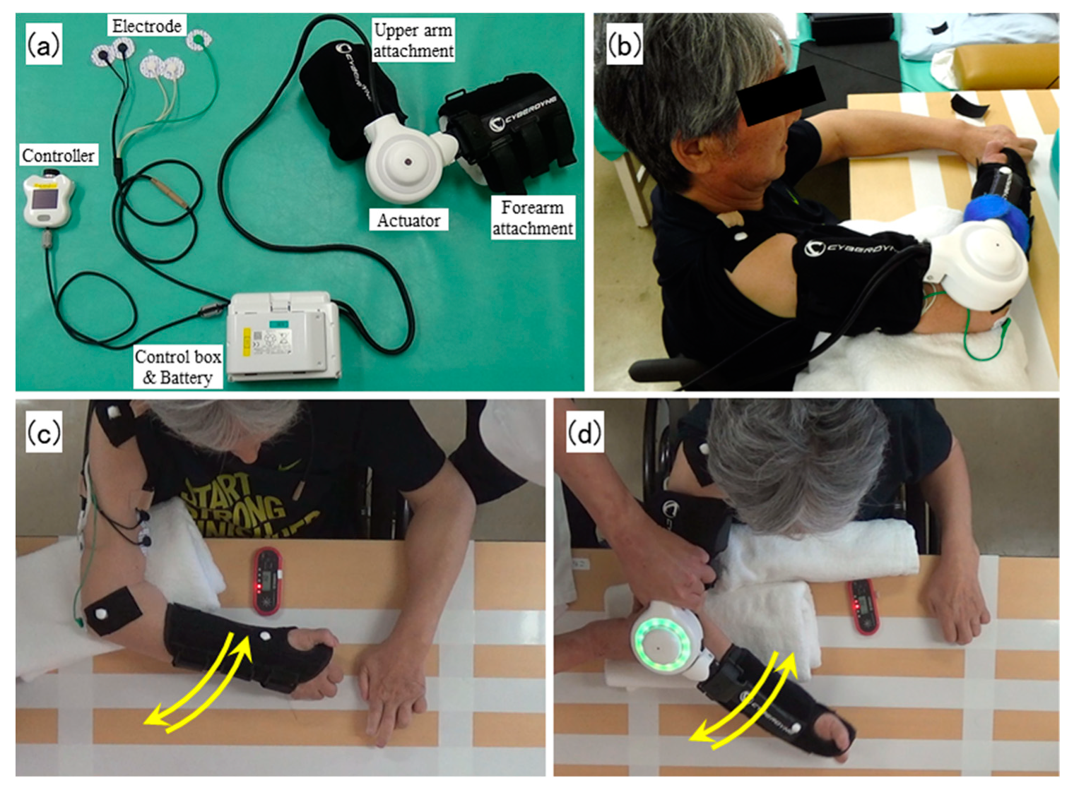 Medicina 55 00404 g001