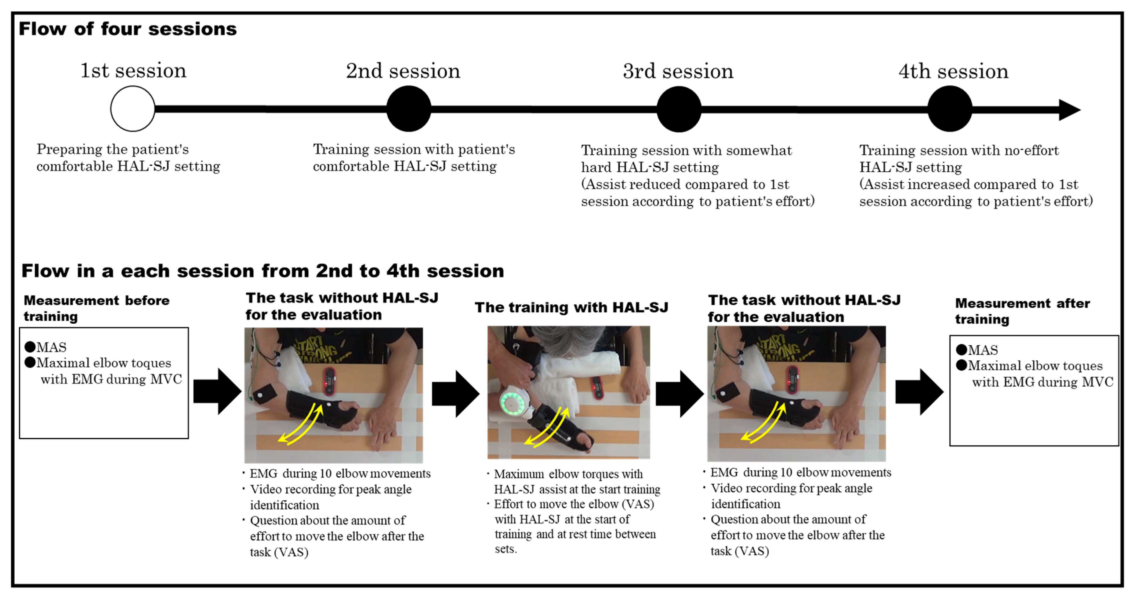 Medicina 55 00404 g002