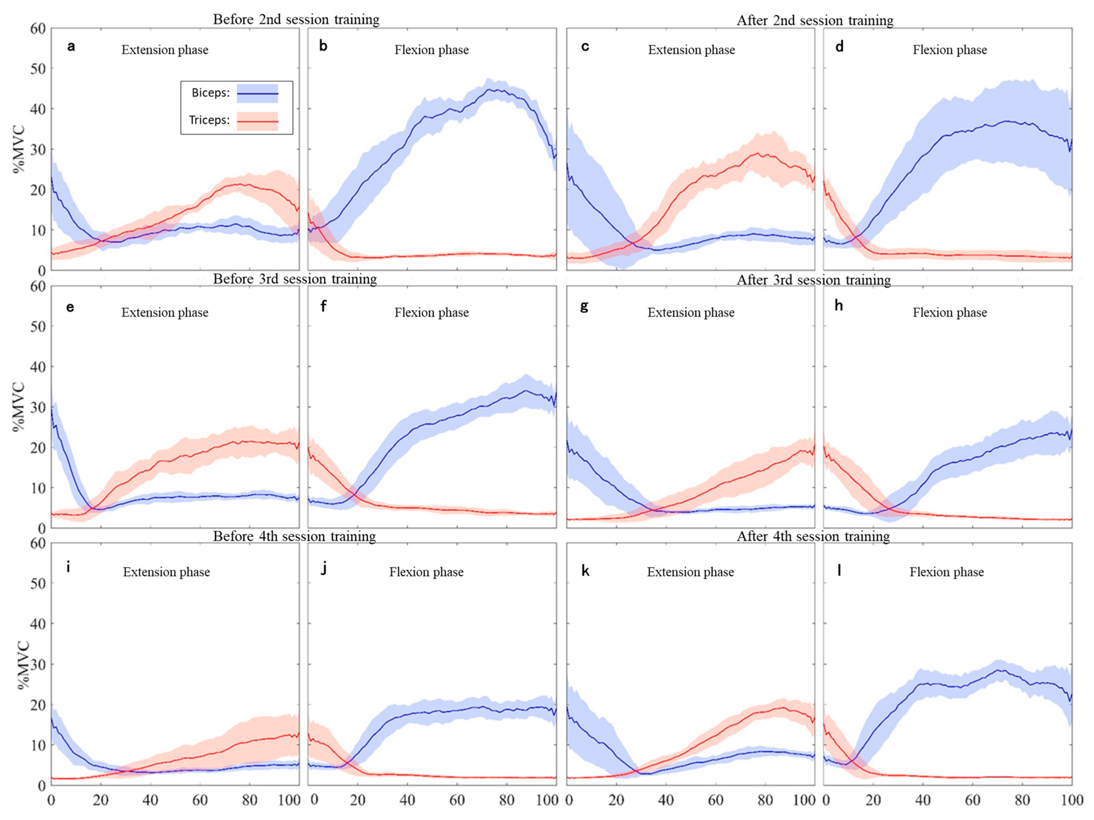 Medicina 55 00404 g003