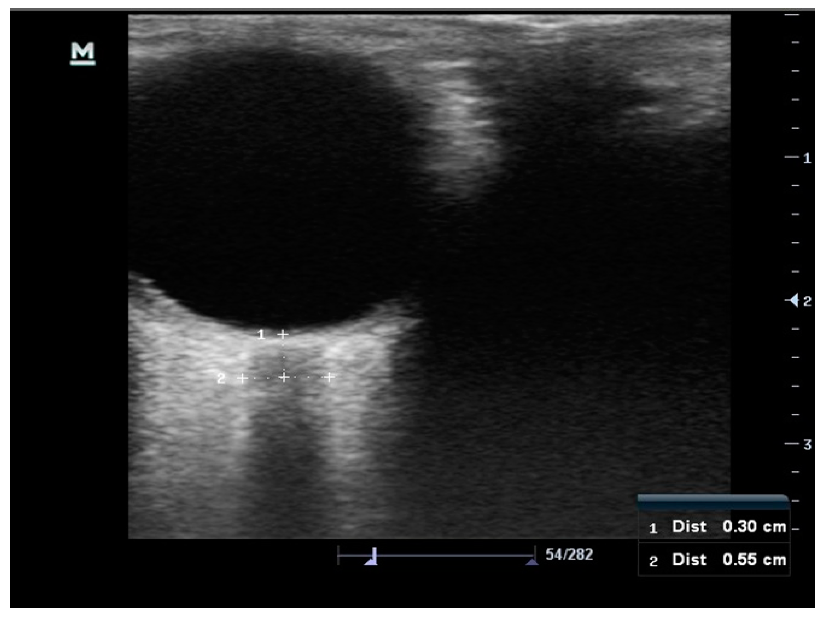 Medicina 55 00413 g001
