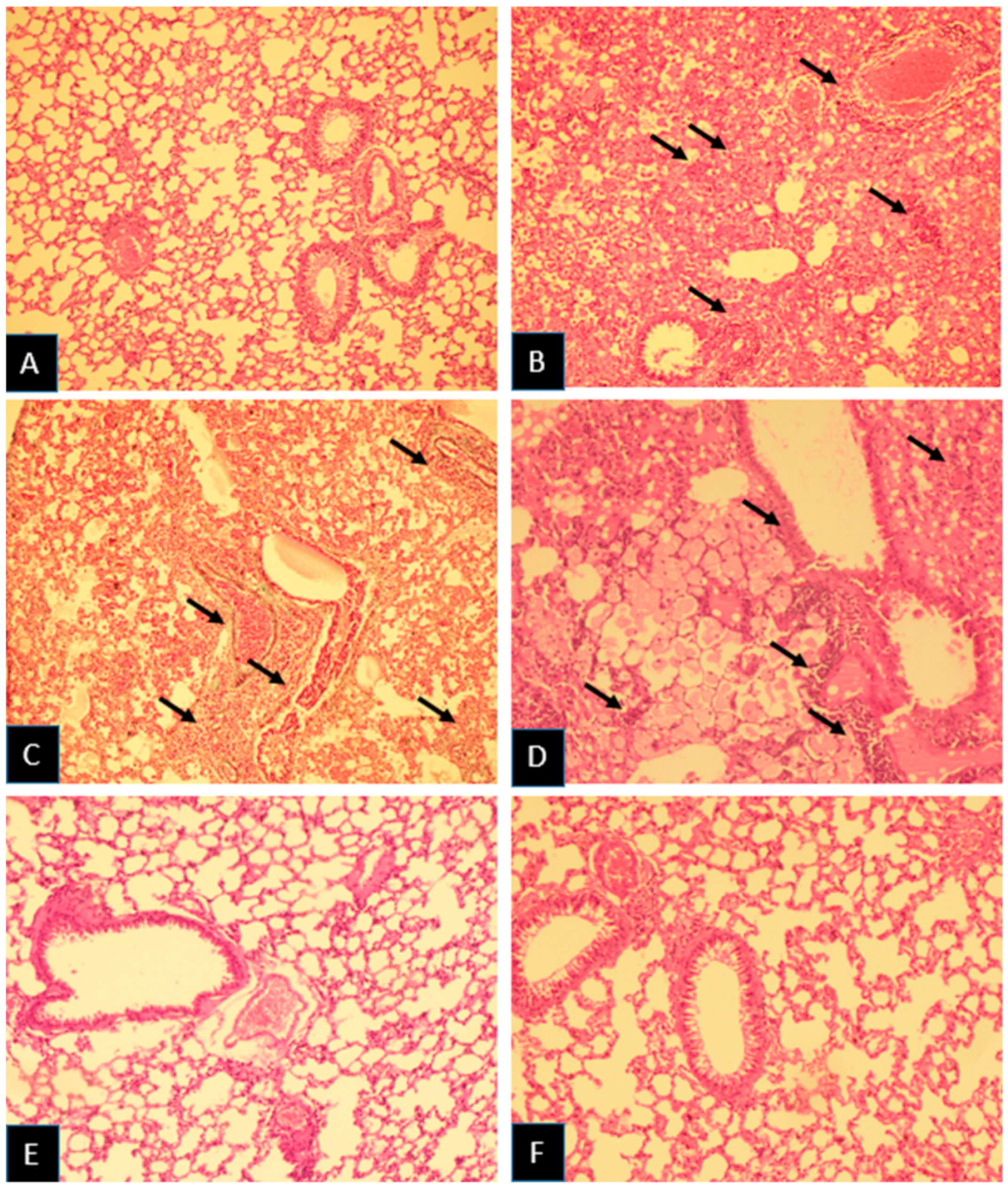 Medicina 55 00417 g001 Medicina 55 00417 g001