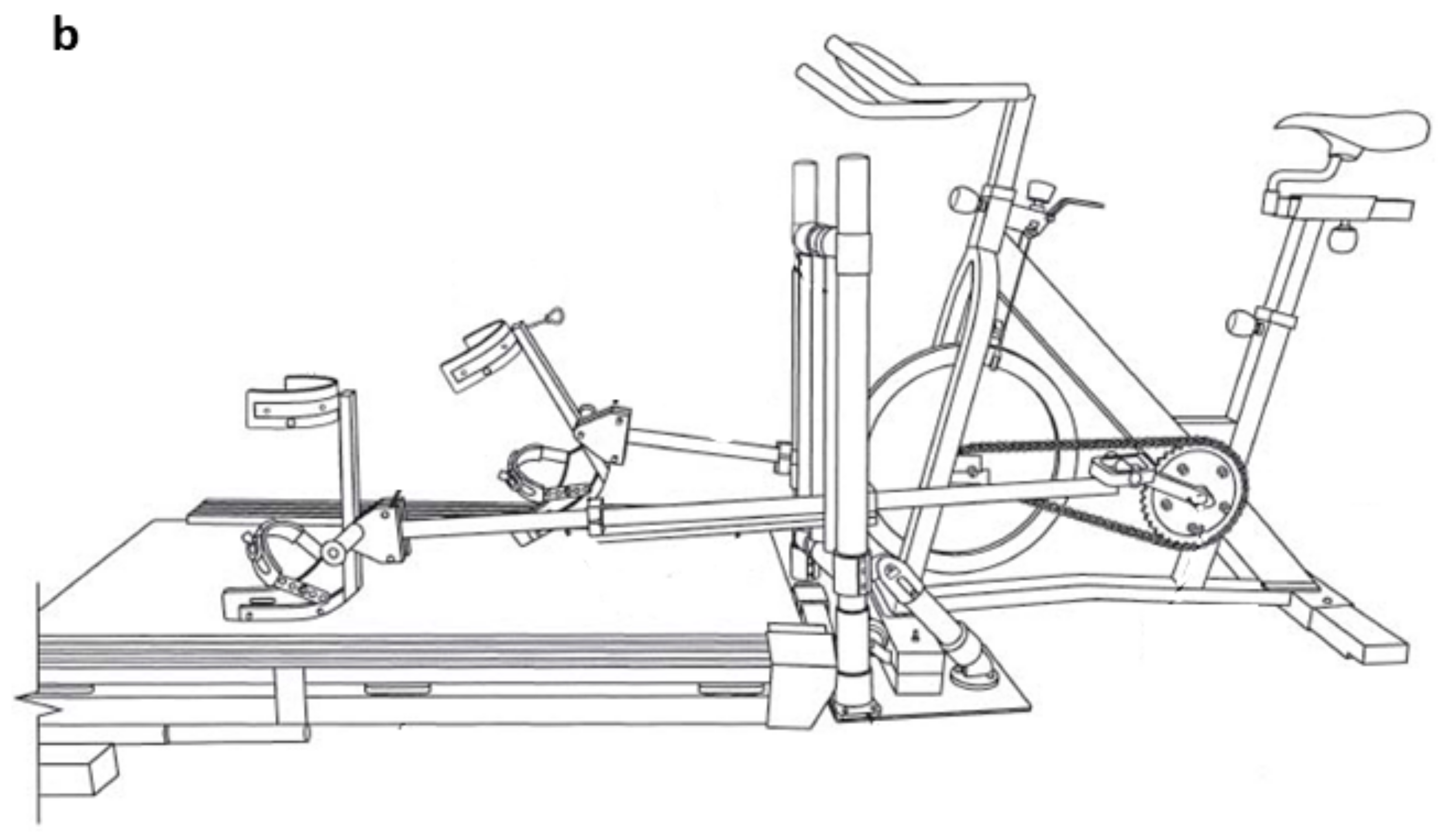 Medicina 55 00420 g001b