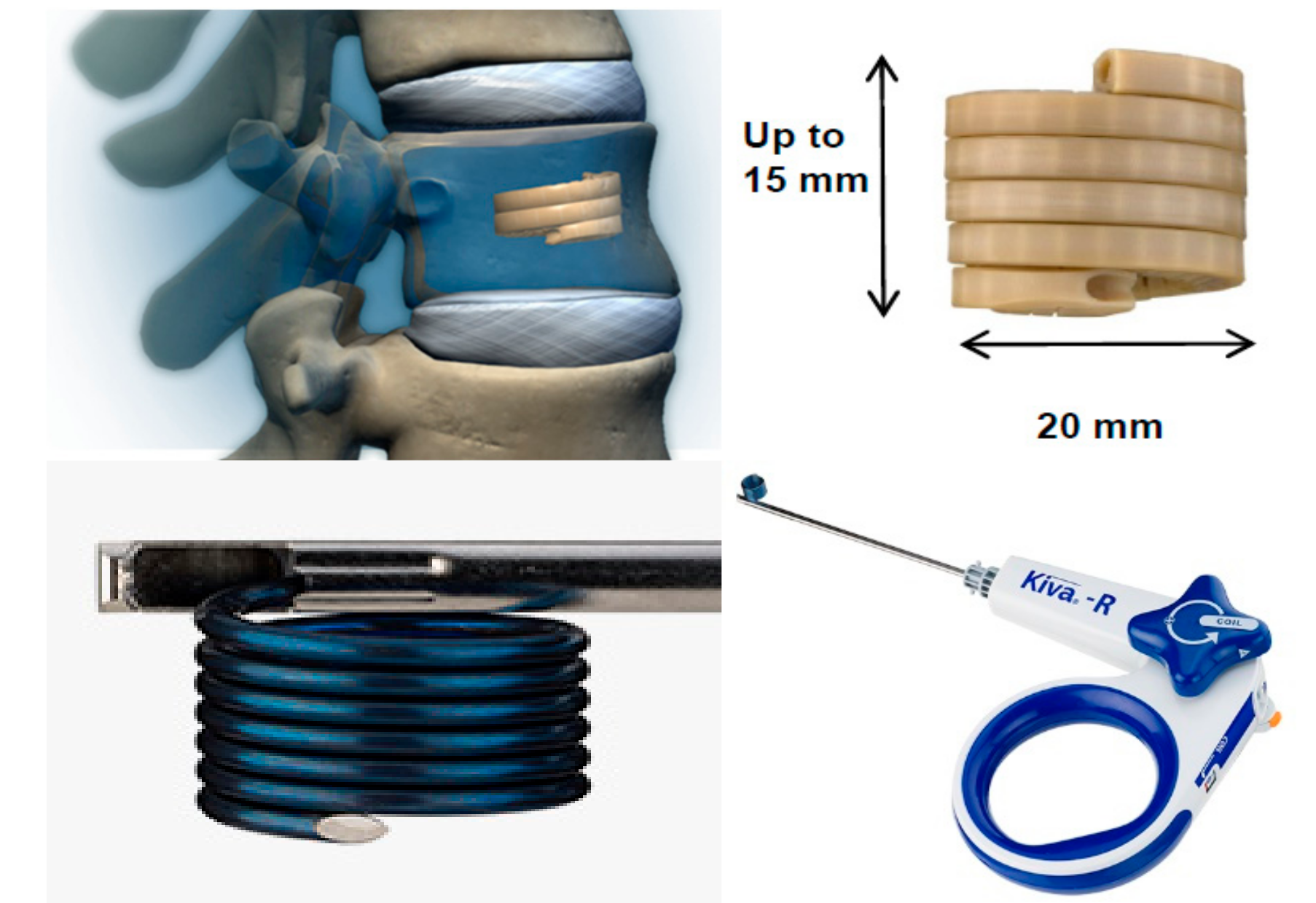 Medicina 55 00426 g002 Medicina 55 00426 g002