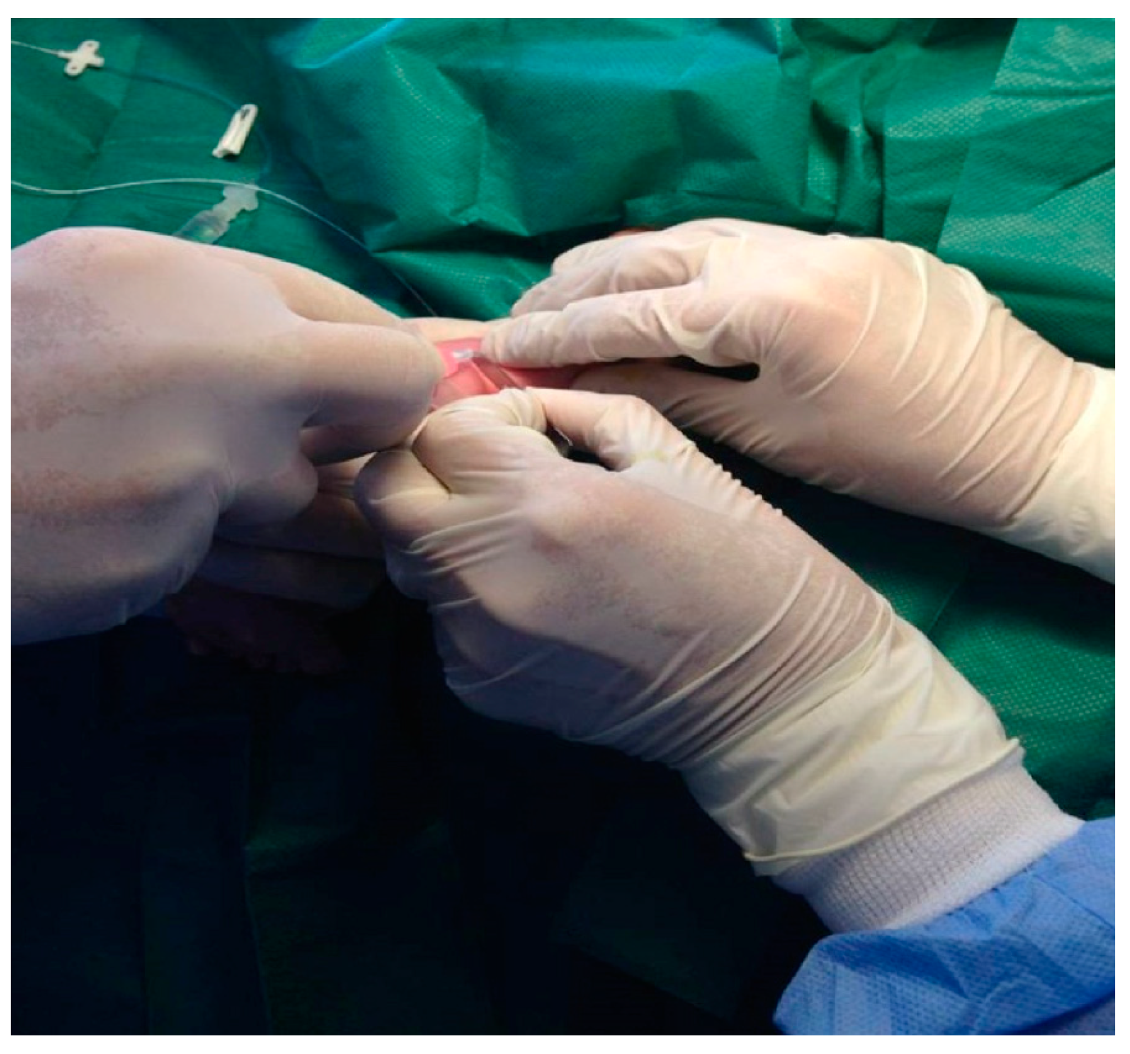 Medicina 55 00442 g002