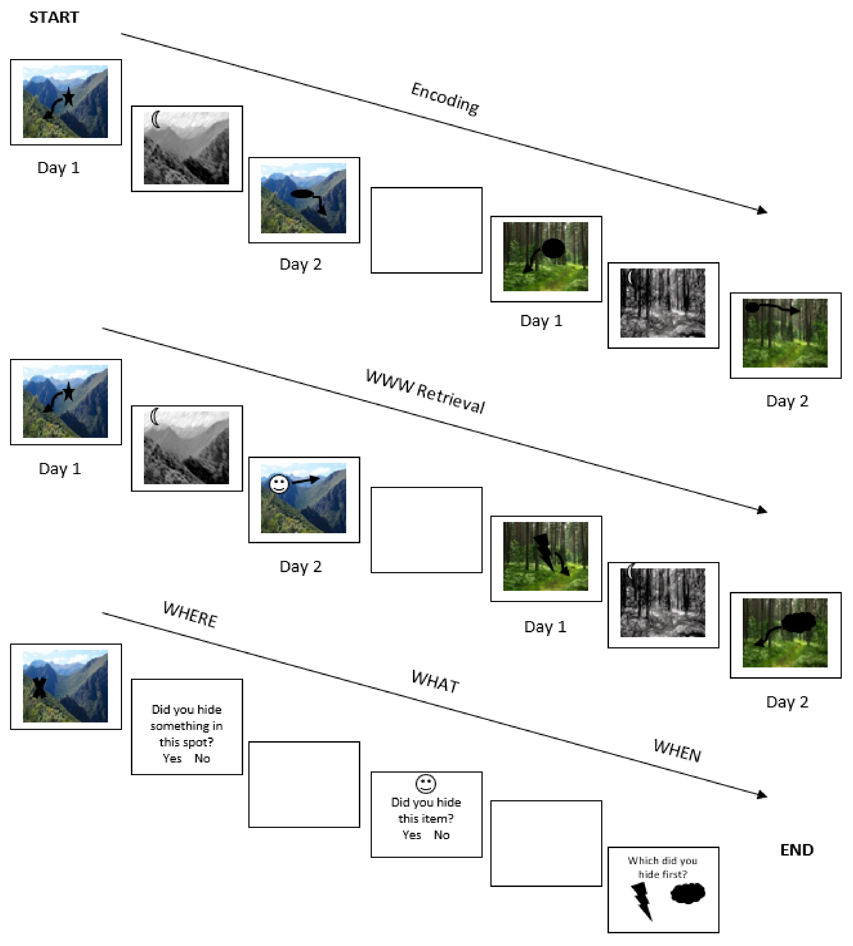 Medicina 55 00444 g002