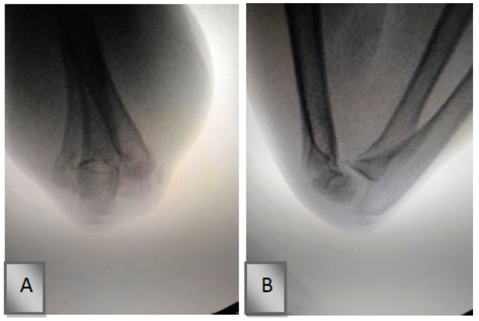 Medicina 55 00450 g002