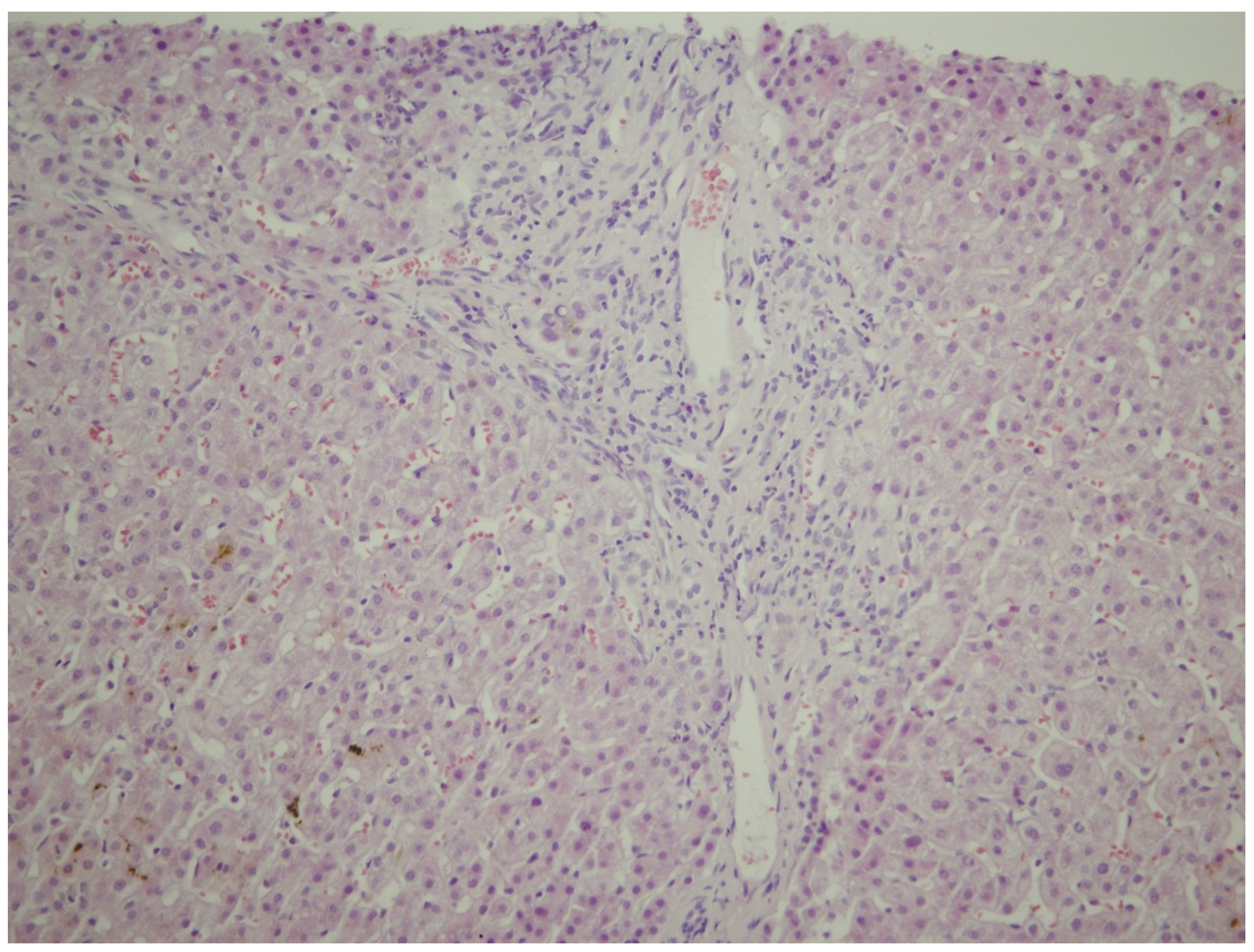 Medicina 55 00454 g001