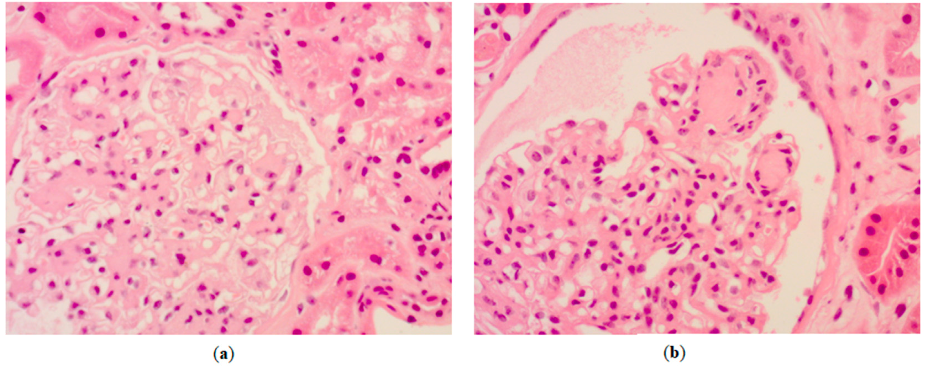 Medicina 55 00462 g001 550