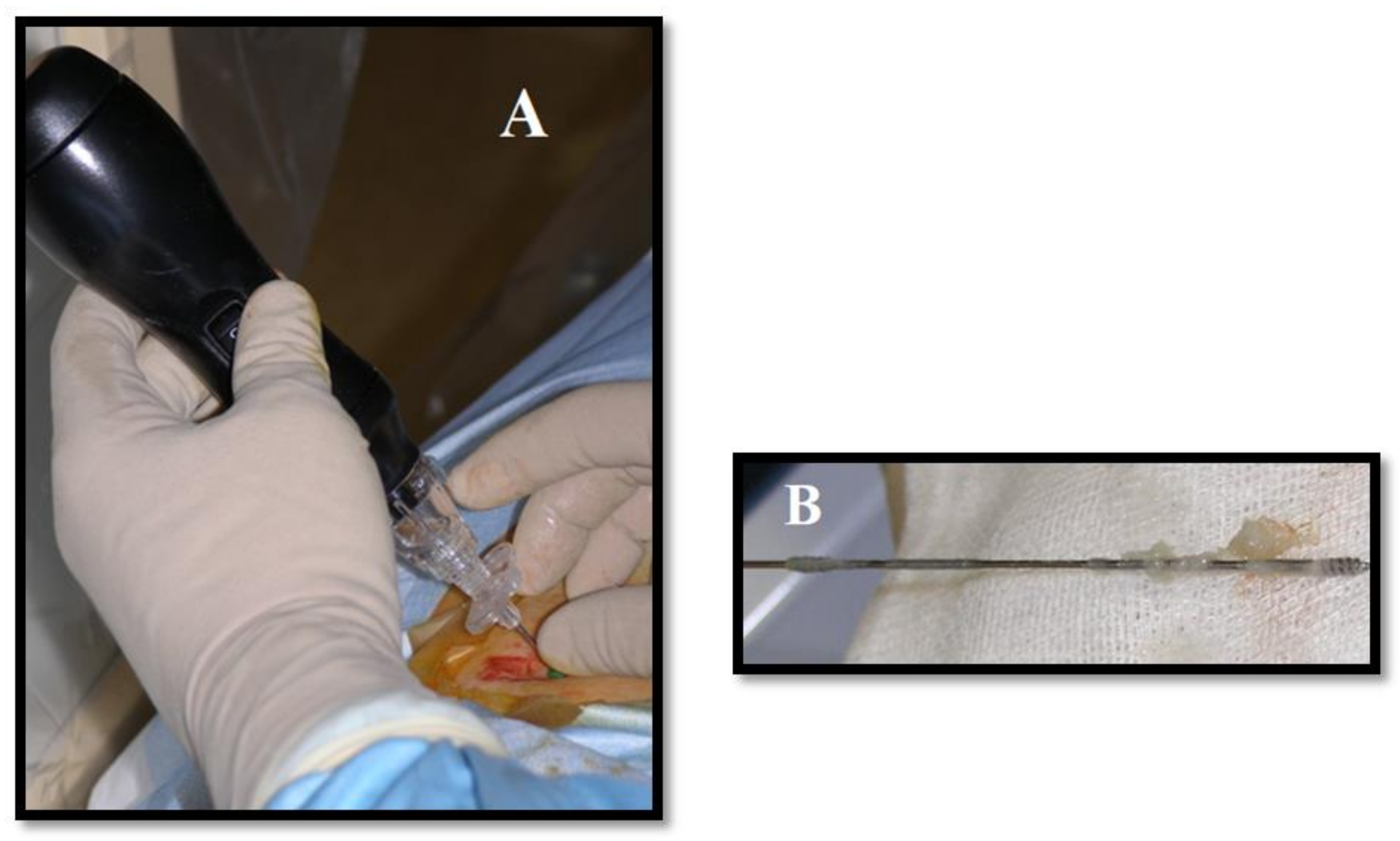 Medicina 55 00471 g003