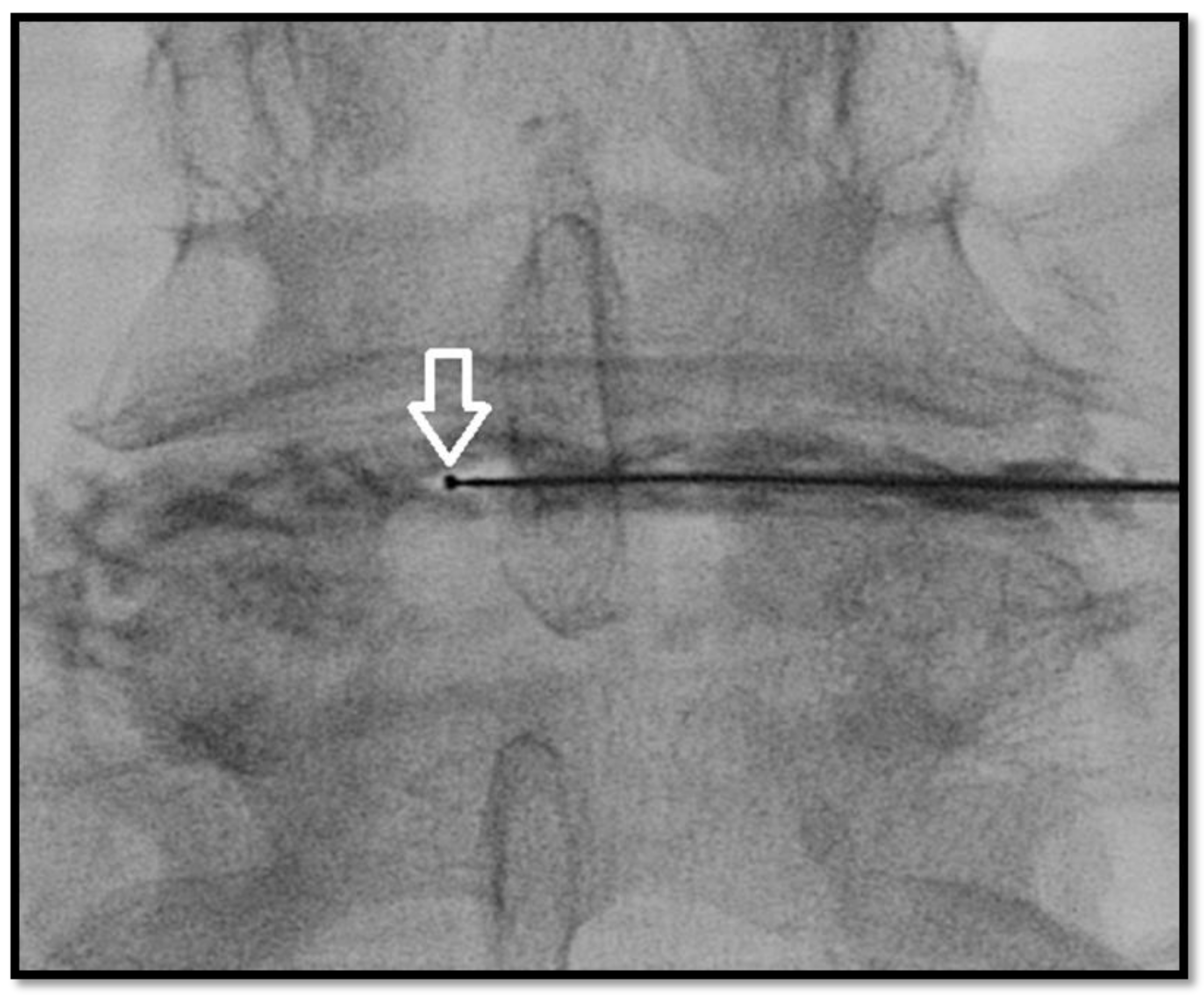 Medicina 55 00471 g004