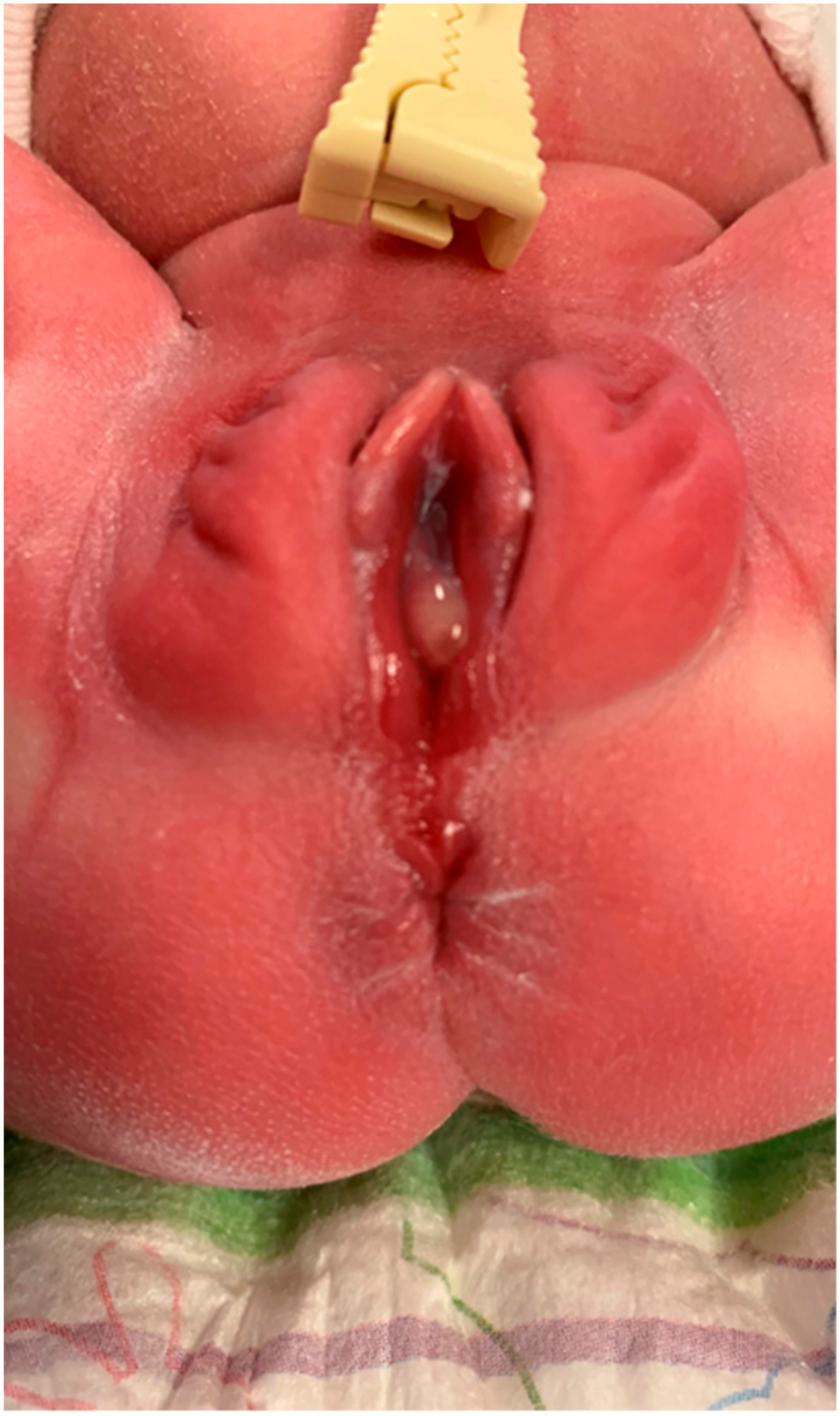 Medicina 55 00488 g005