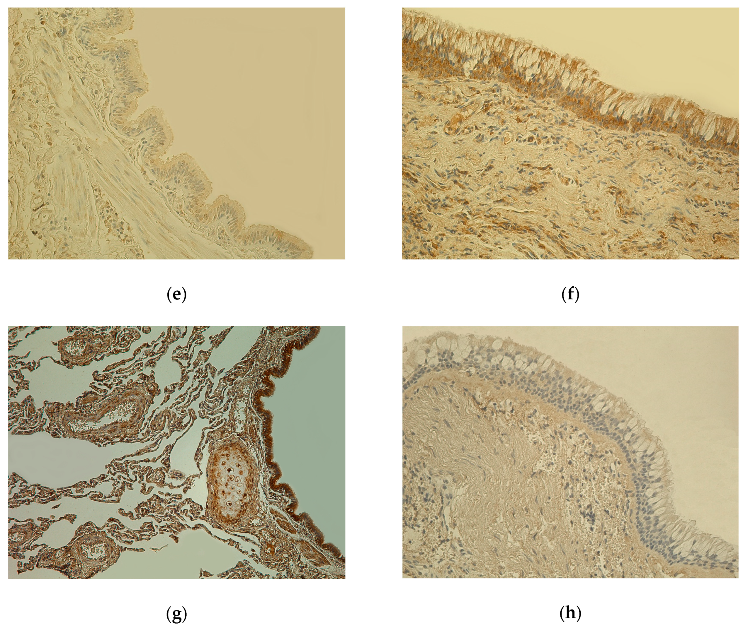 Medicina 55 00496 g001b
