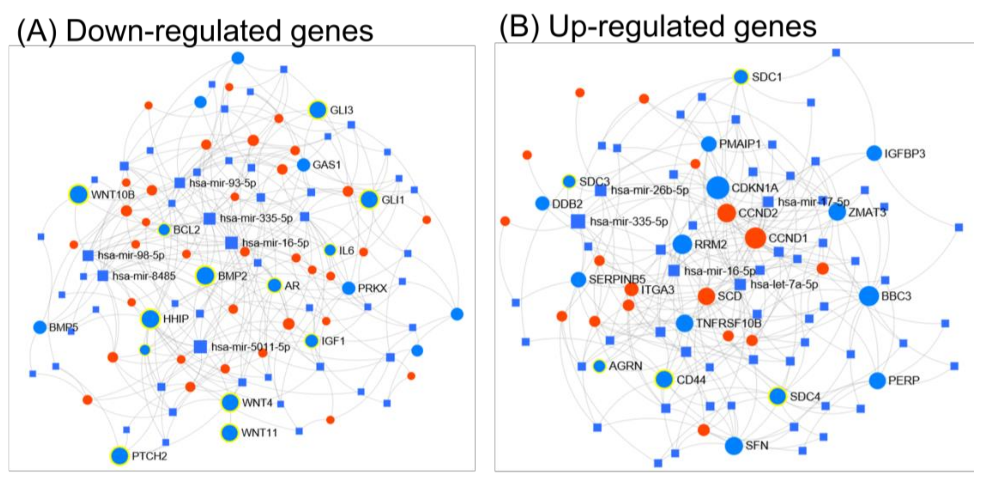 Medicina 55 00500 g002 Medicina 55 00500 g002