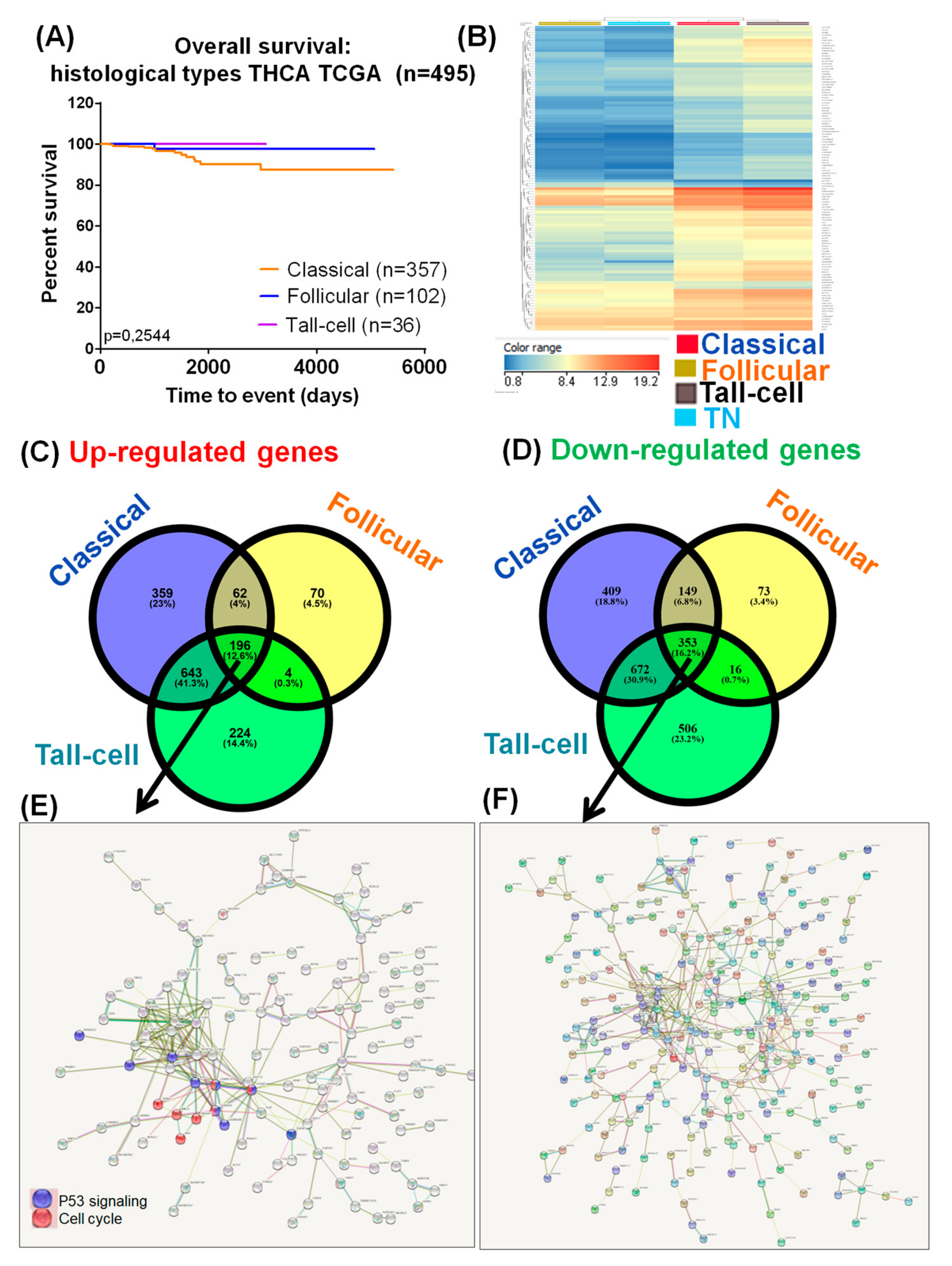 Medicina 55 00500 g003 Medicina 55 00500 g003