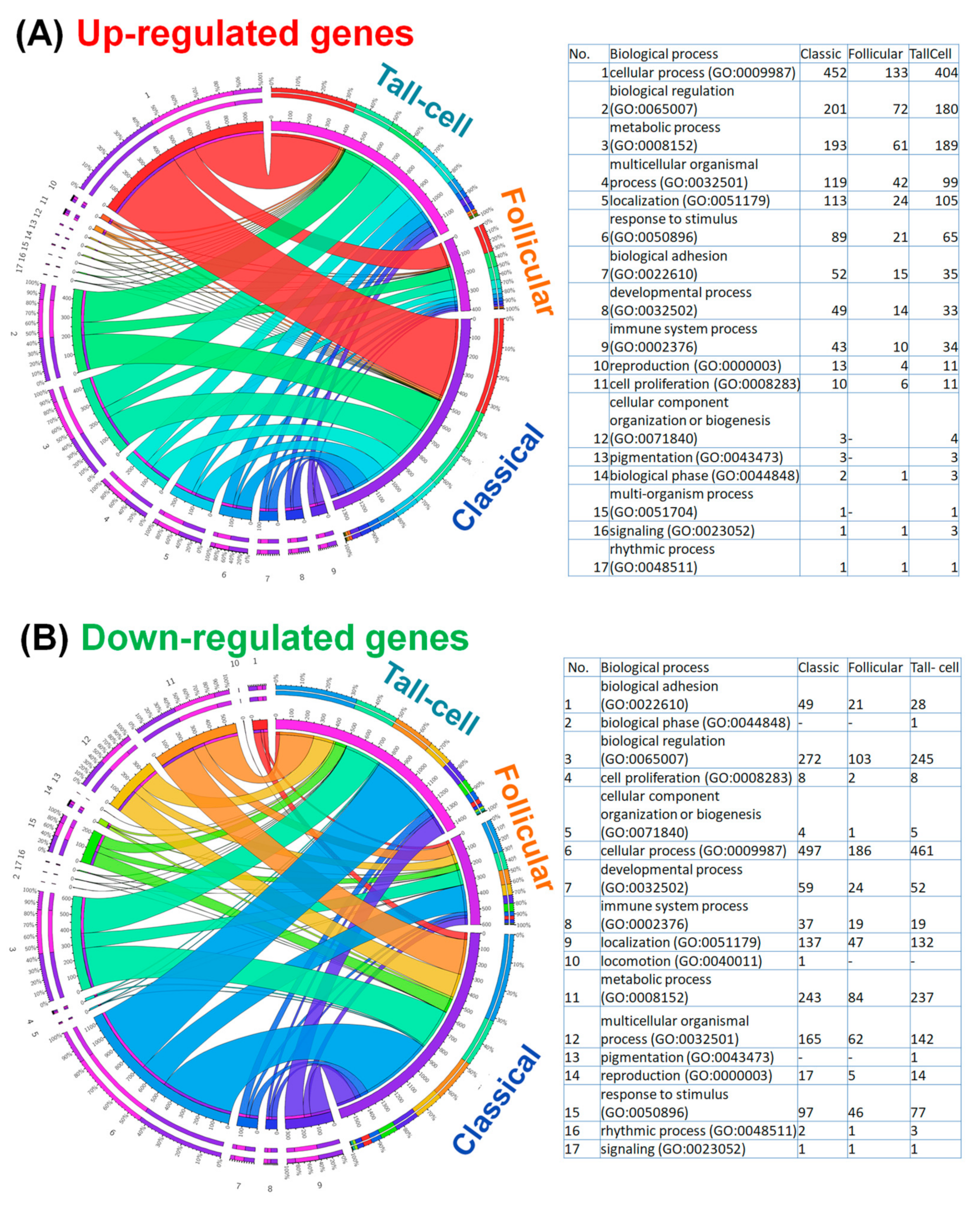 Medicina 55 00500 g004 Medicina 55 00500 g004