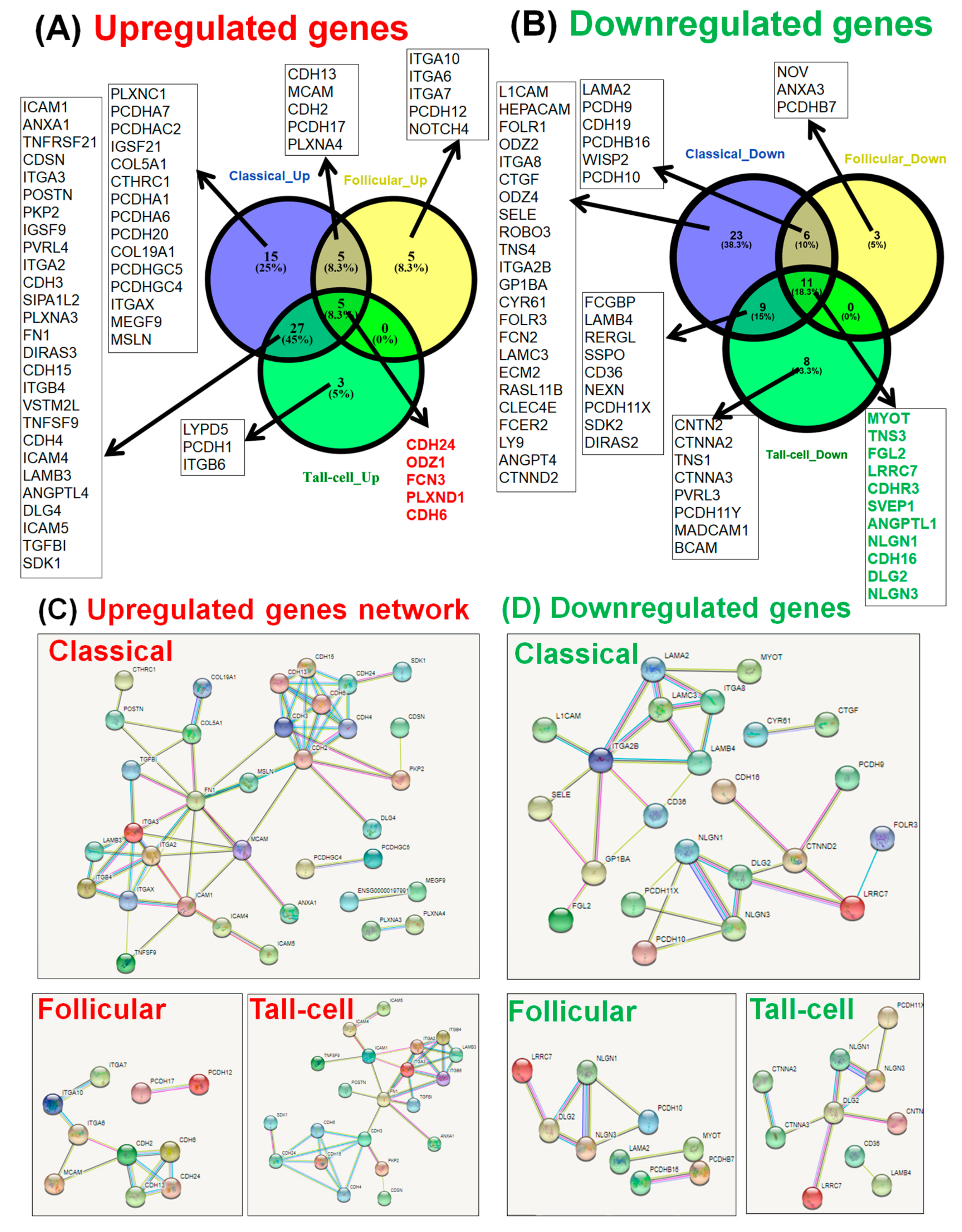 Medicina 55 00500 g005 Medicina 55 00500 g005
