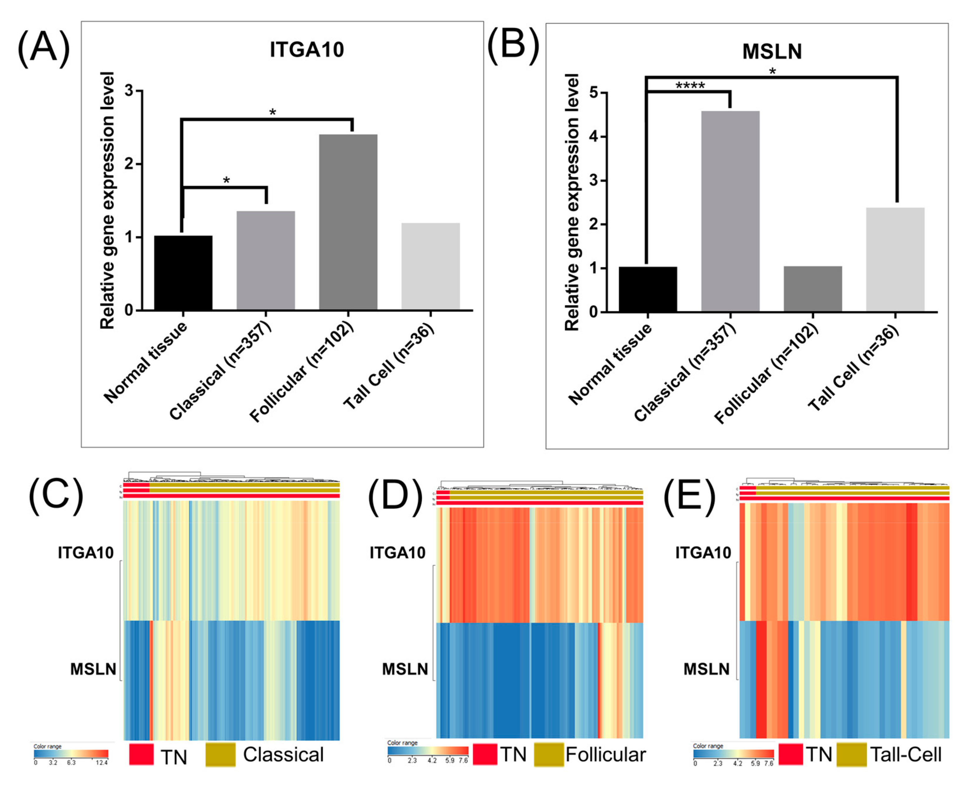 Medicina 55 00500 g006 Medicina 55 00500 g006