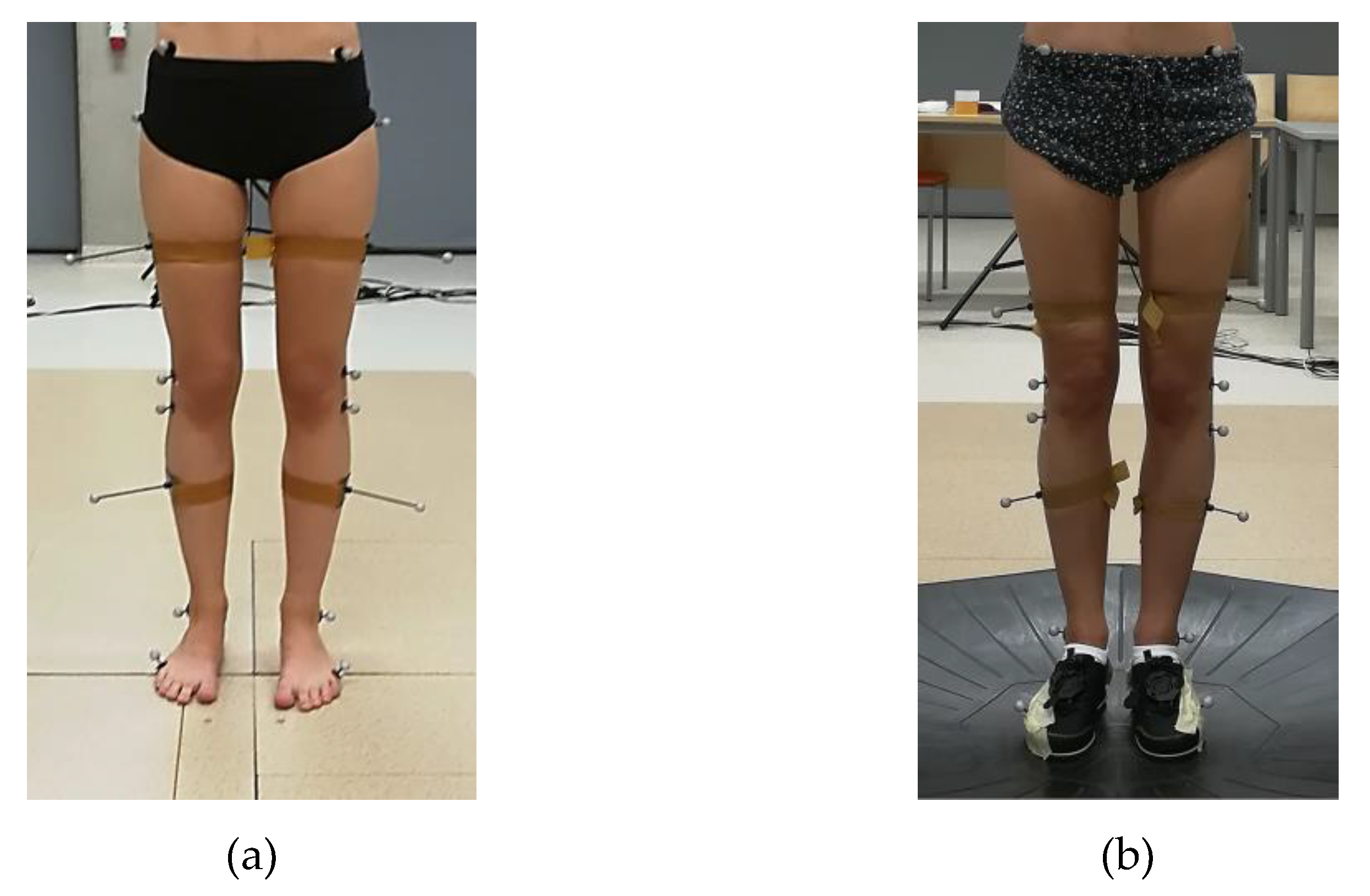 Medicina 55 00517 g001 Medicina 55 00517 g001
