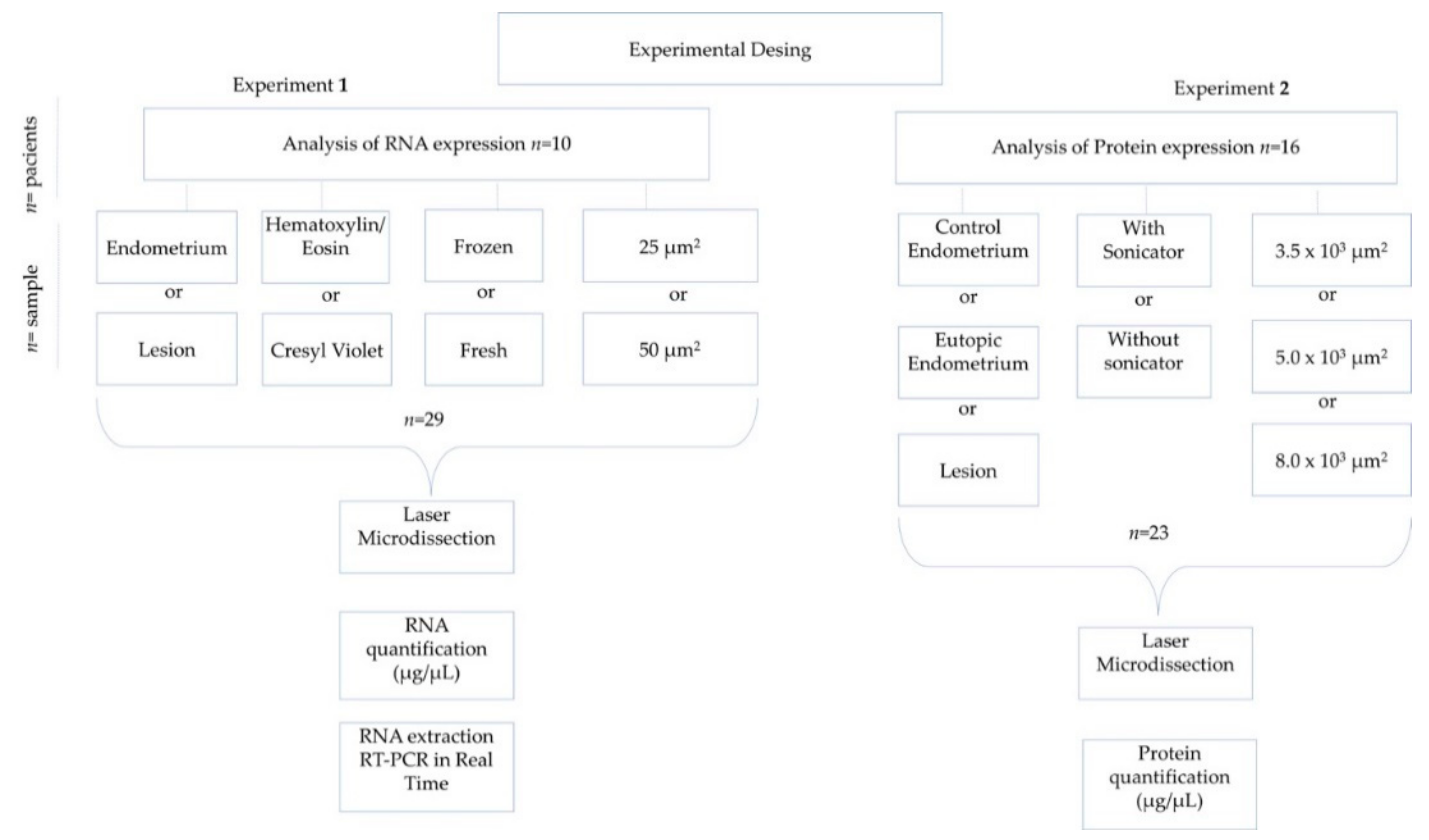 Medicina 55 00520 g001