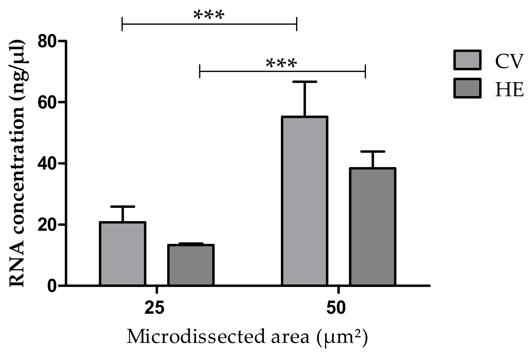 Medicina 55 00520 g004