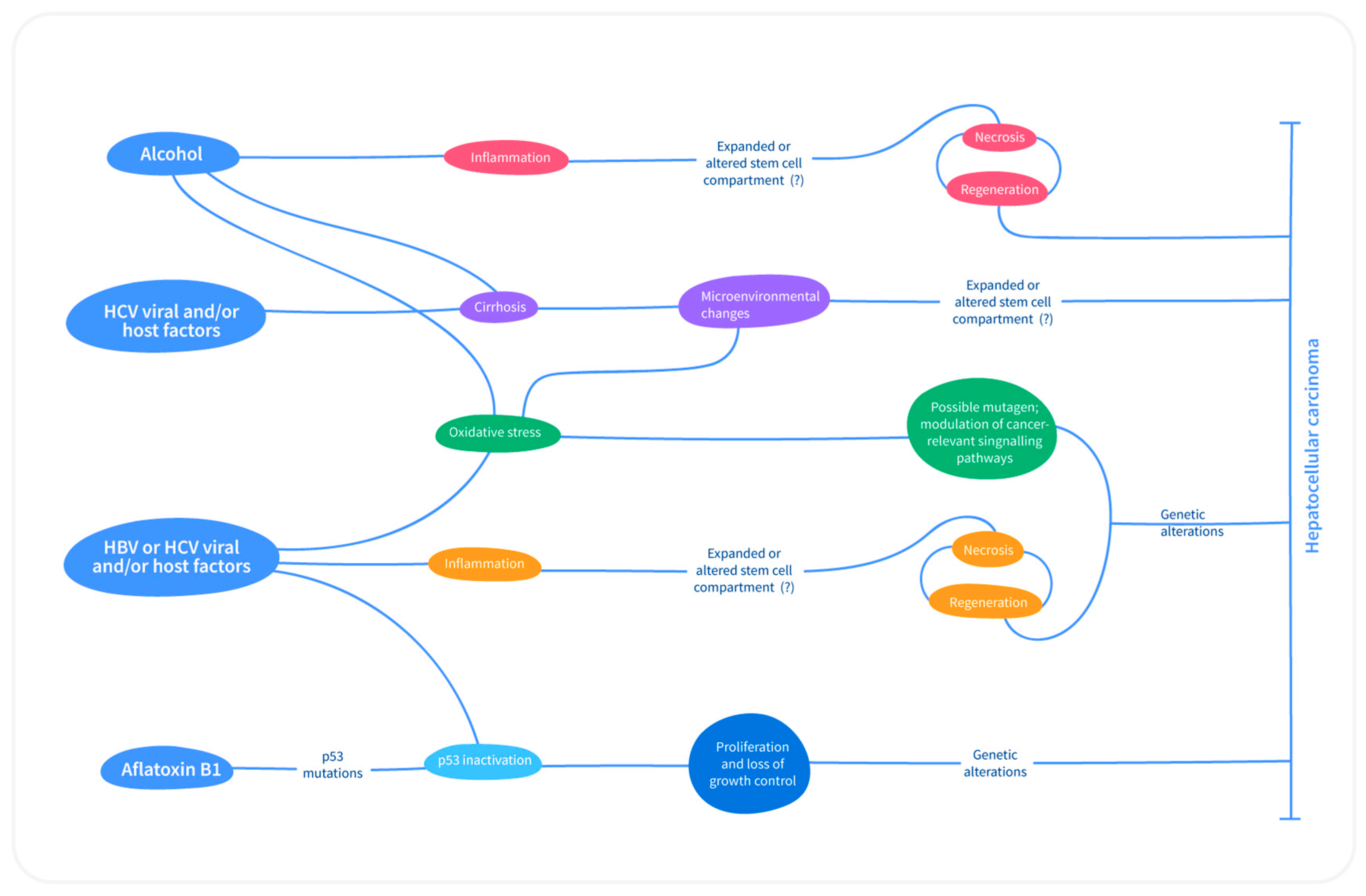 Medicina 55 00526 g003