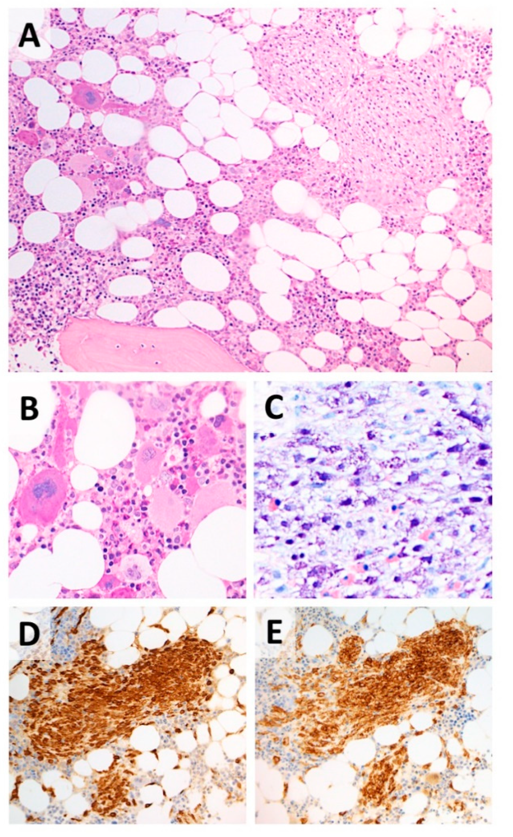 Medicina 55 00528 g002