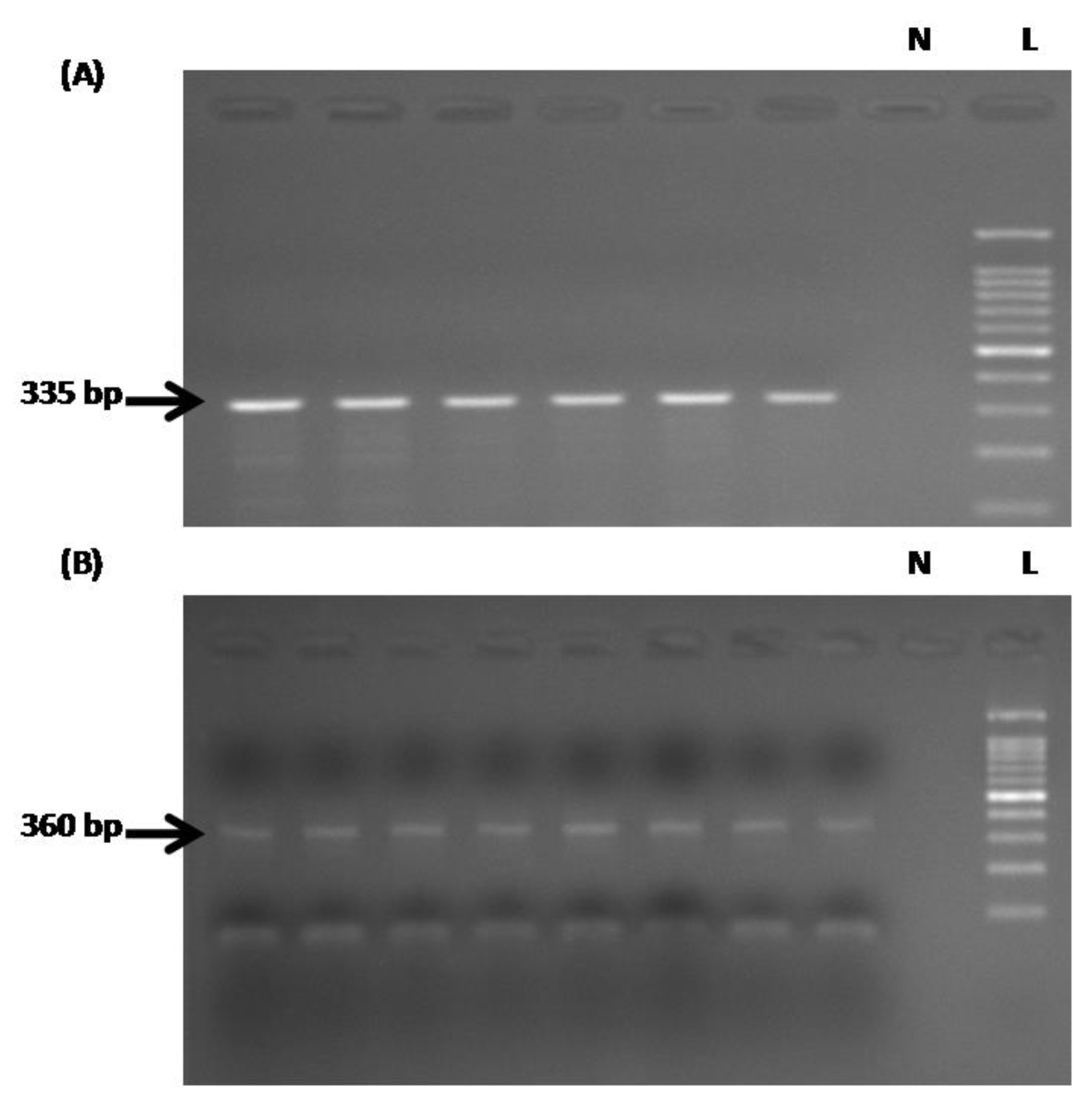 Medicina 55 00535 g001 Medicina 55 00535 g001