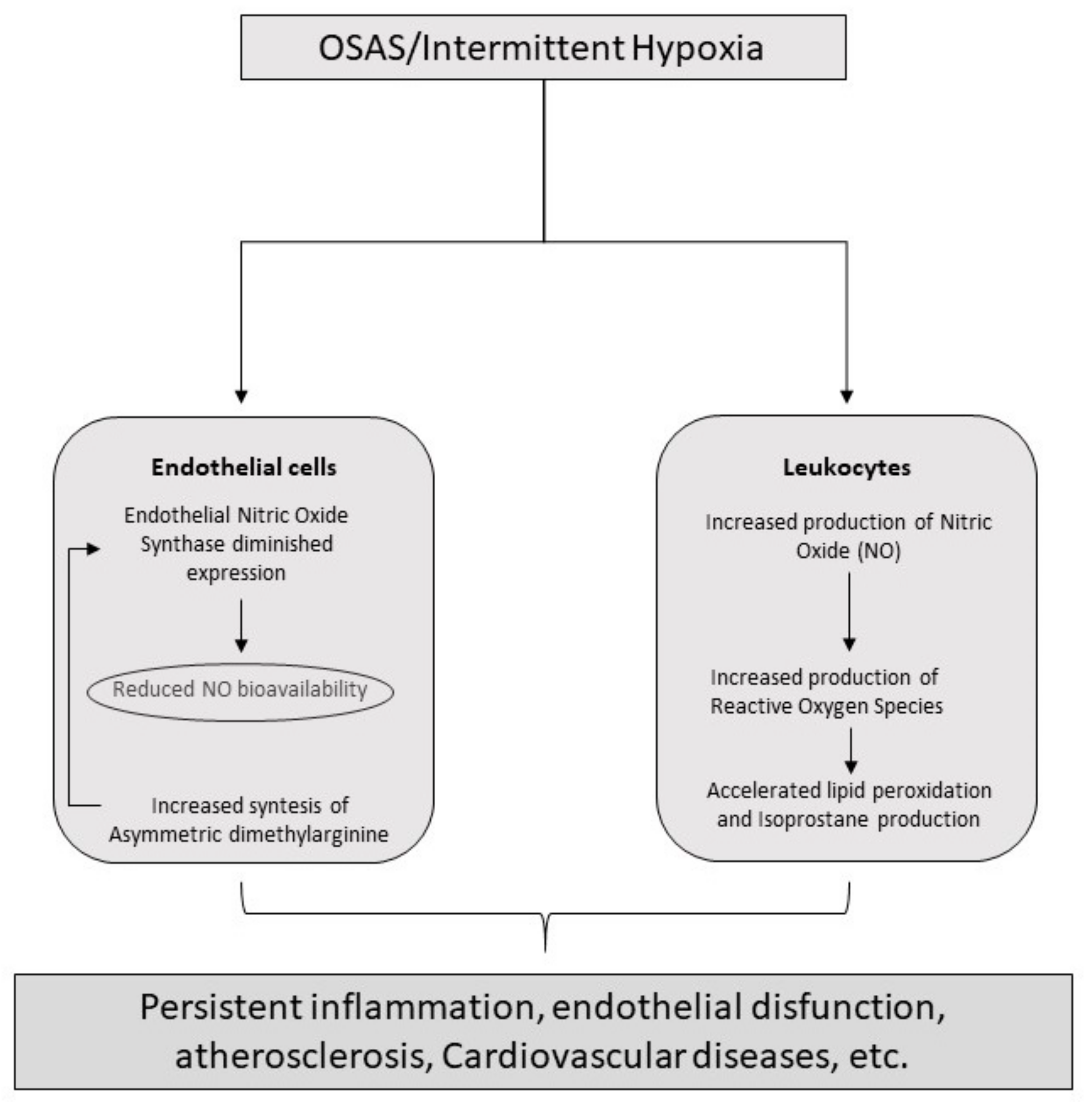 Medicina 55 00538 g002