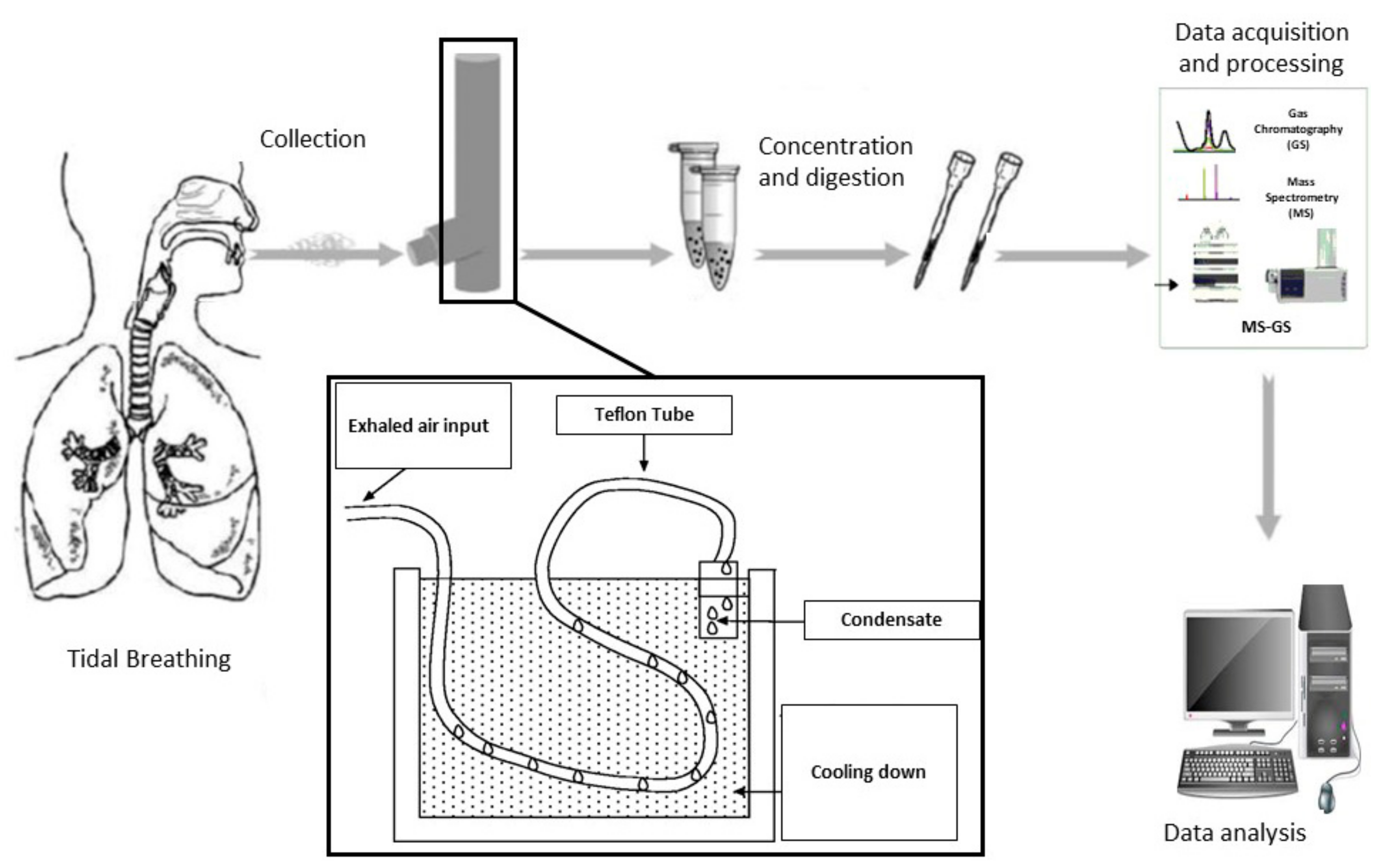 Exhaled Breath Analysis in Obstructive Sleep Apnea Syndrome: A Review ...