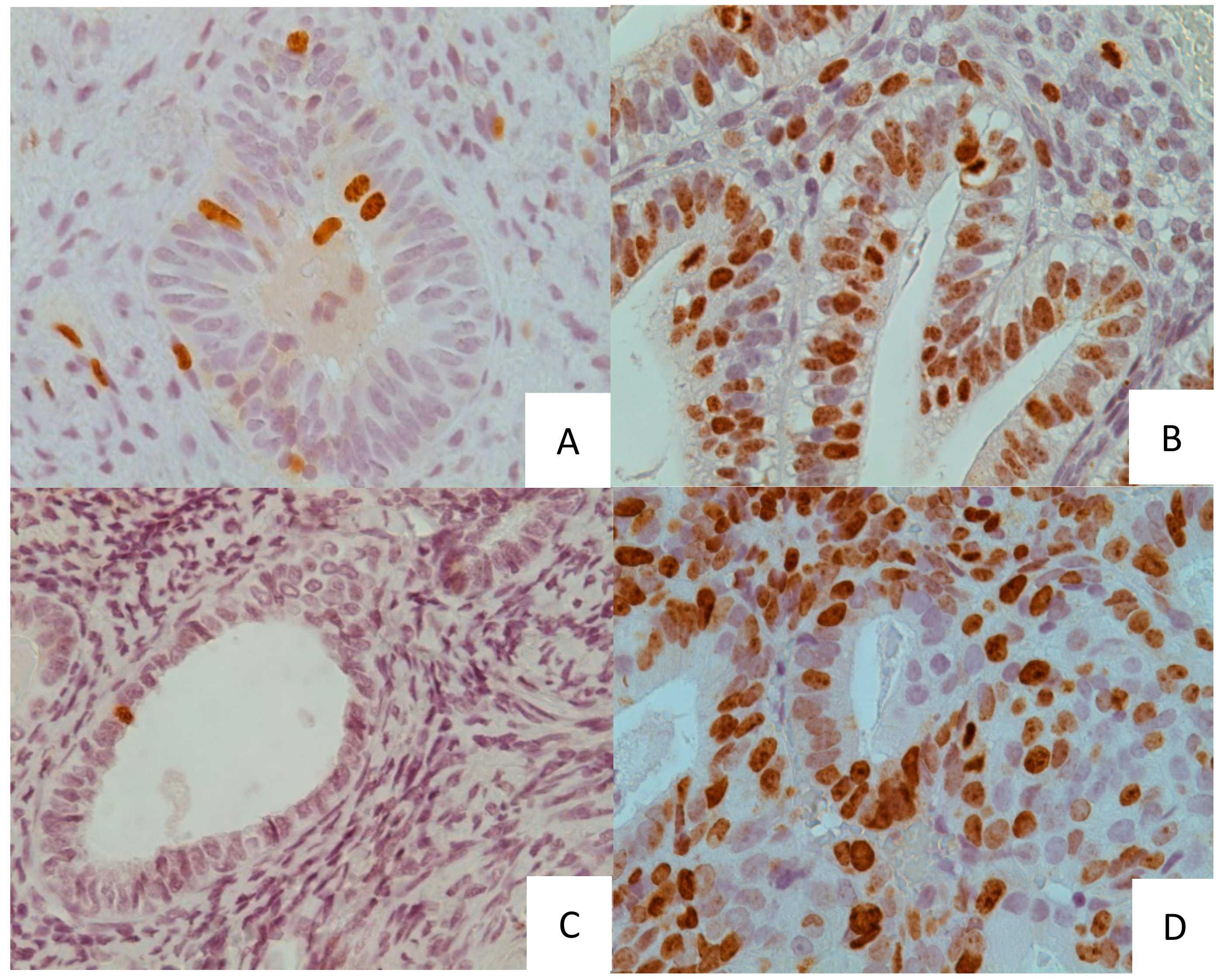 Medicina 55 00543 g001