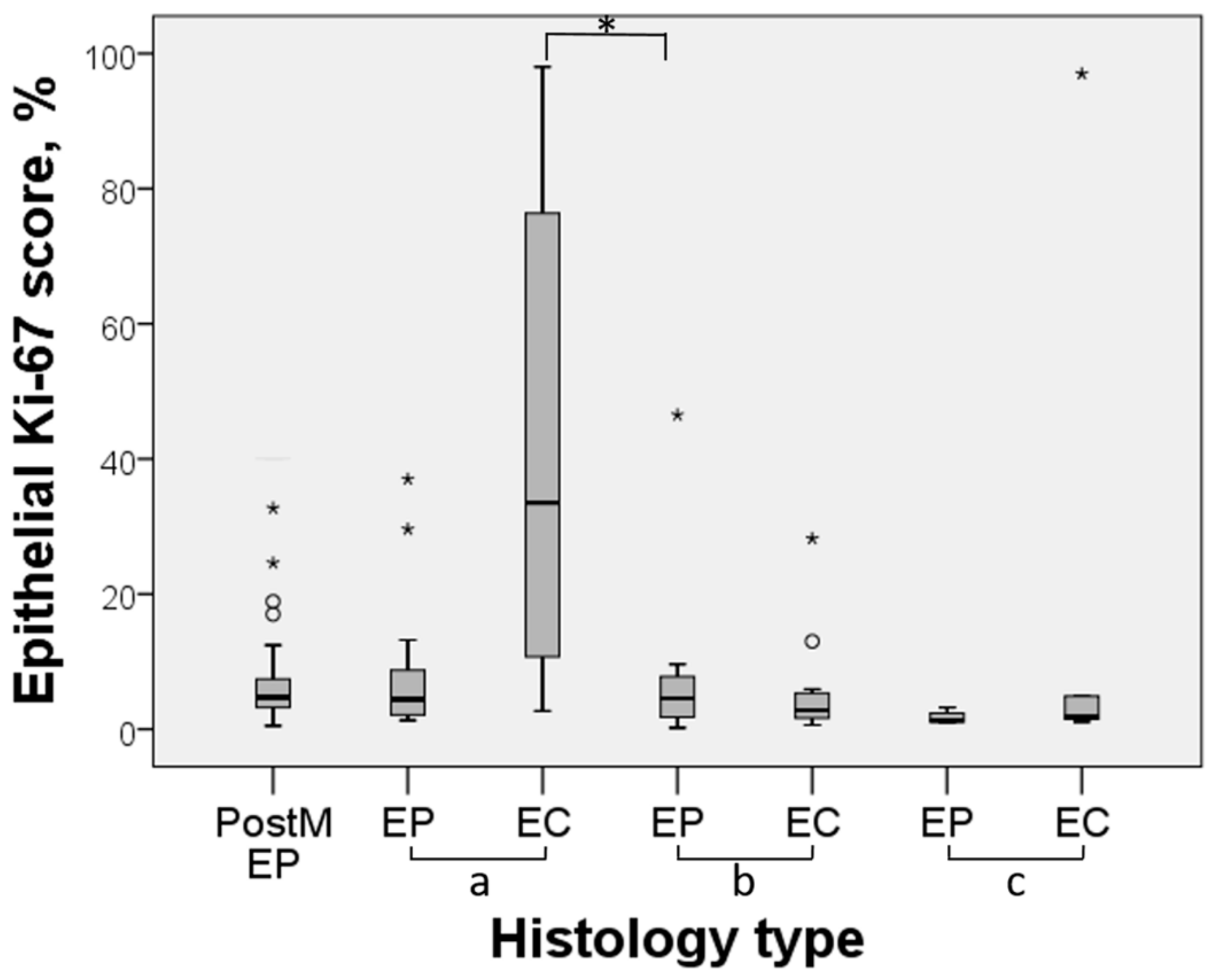Medicina 55 00543 g003