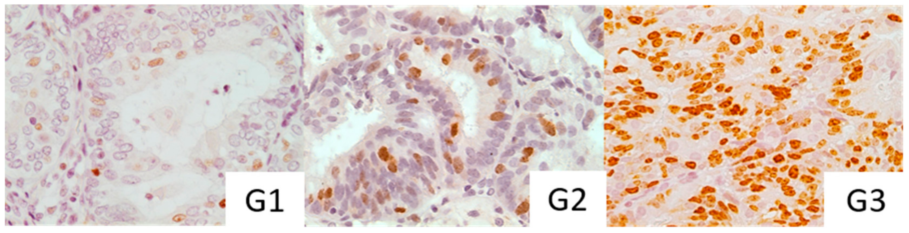 Medicina 55 00543 g005