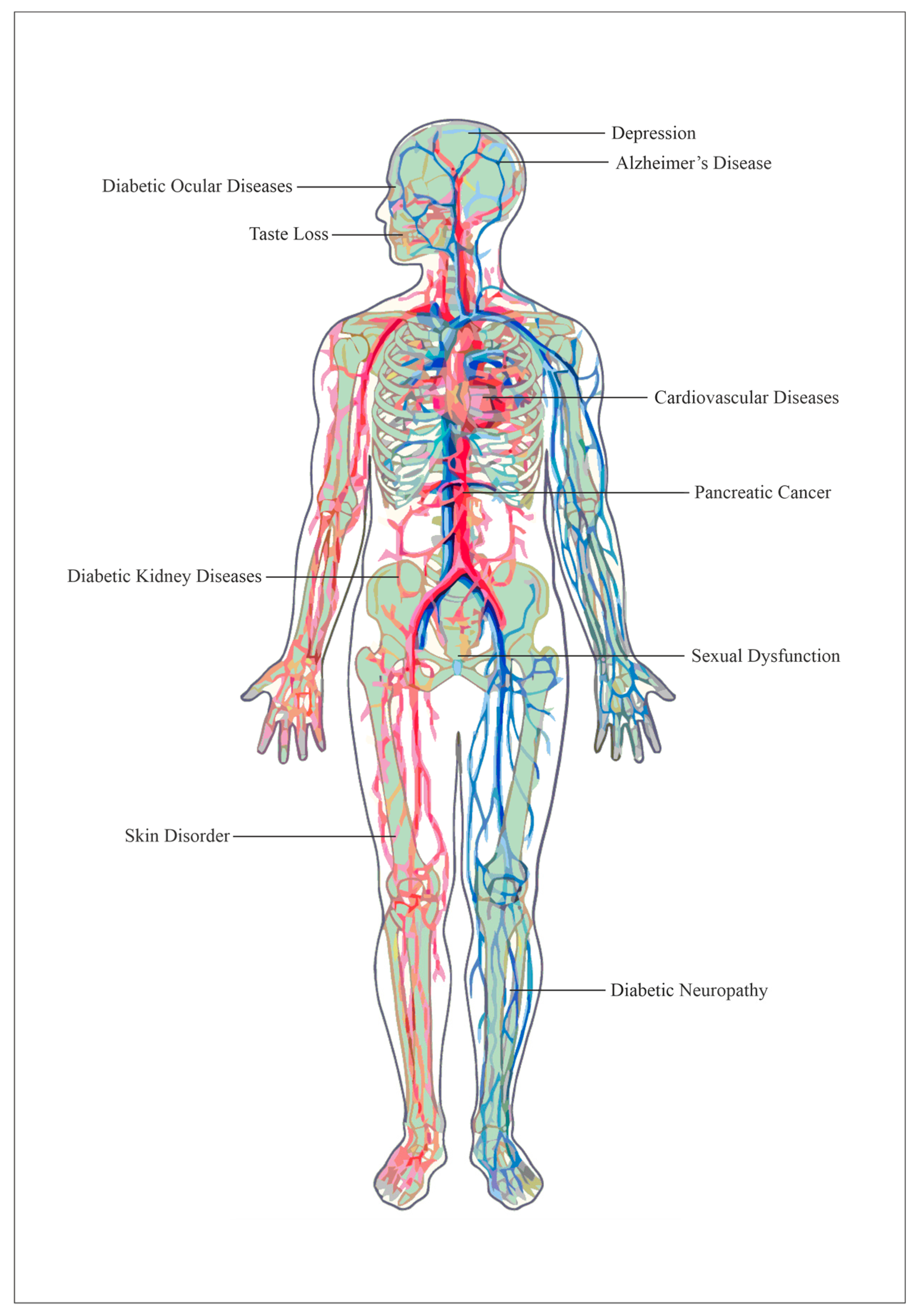 the story of the human body : evolution, health, and disease pdf