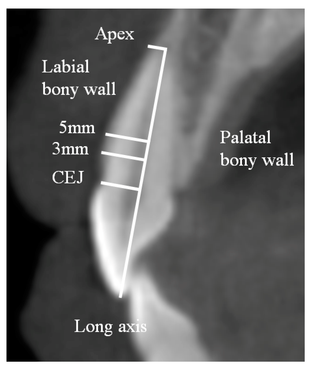 Medicina 55 00565 g001 Medicina 55 00565 g001