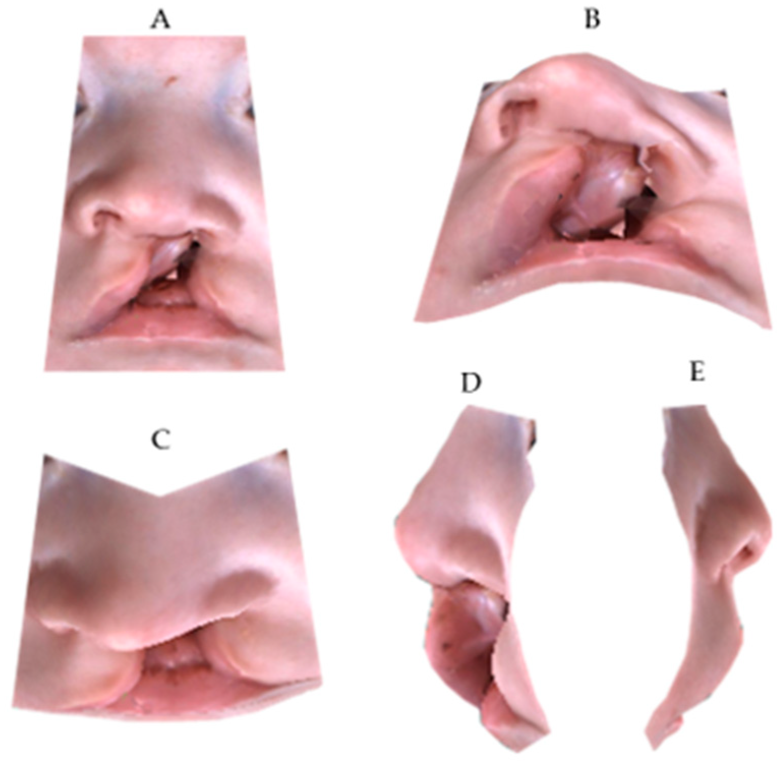 Medicina 55 00576 g003