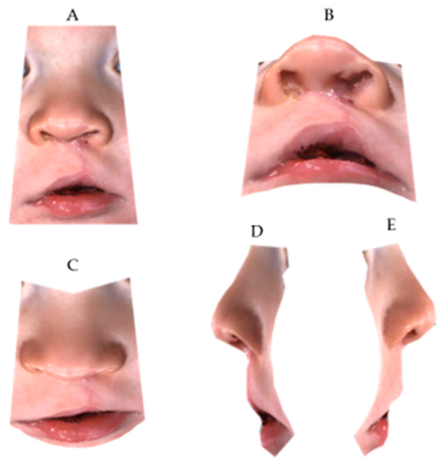 Medicina 55 00576 g004