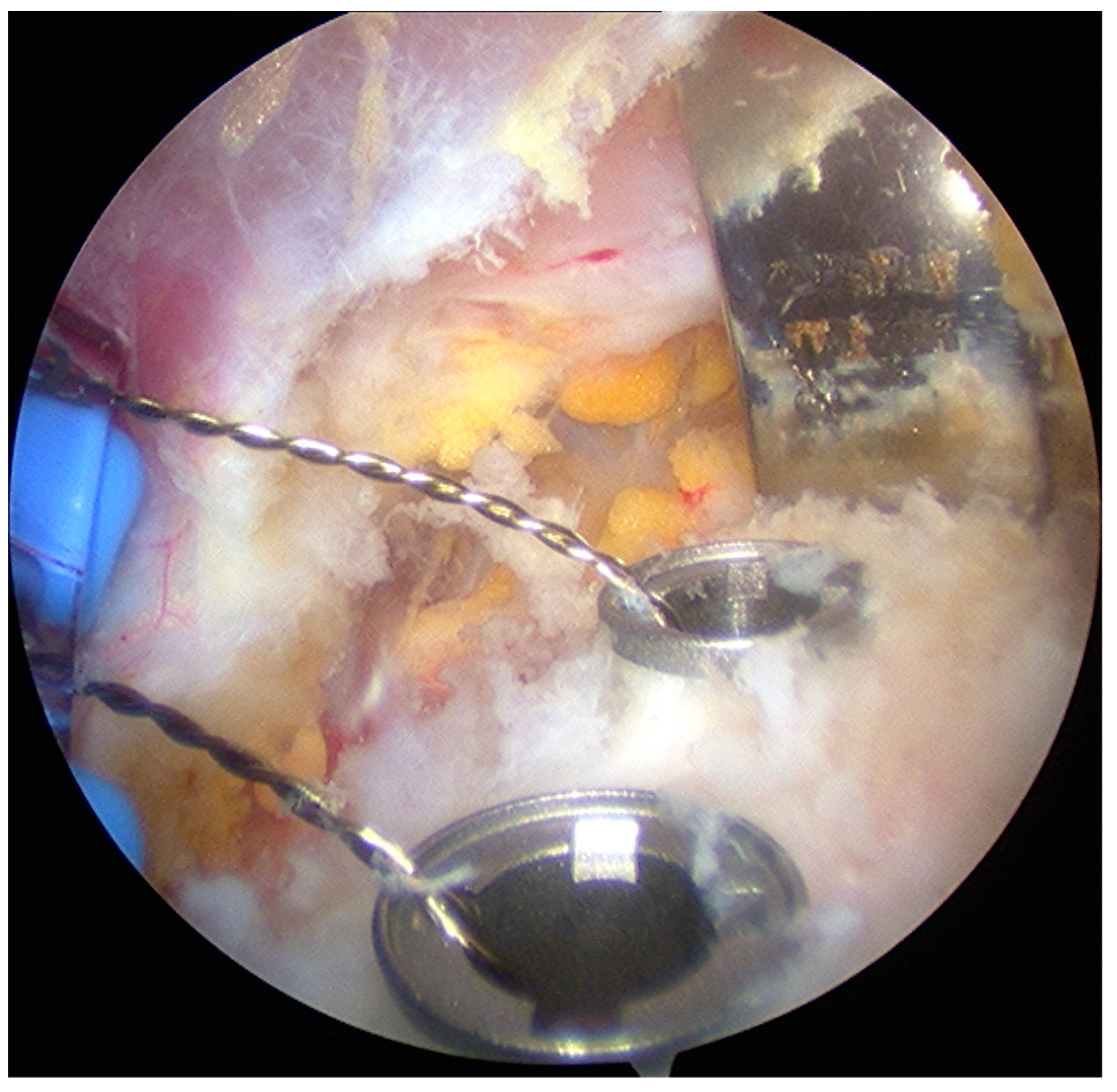 Medicina 55 00582 g002