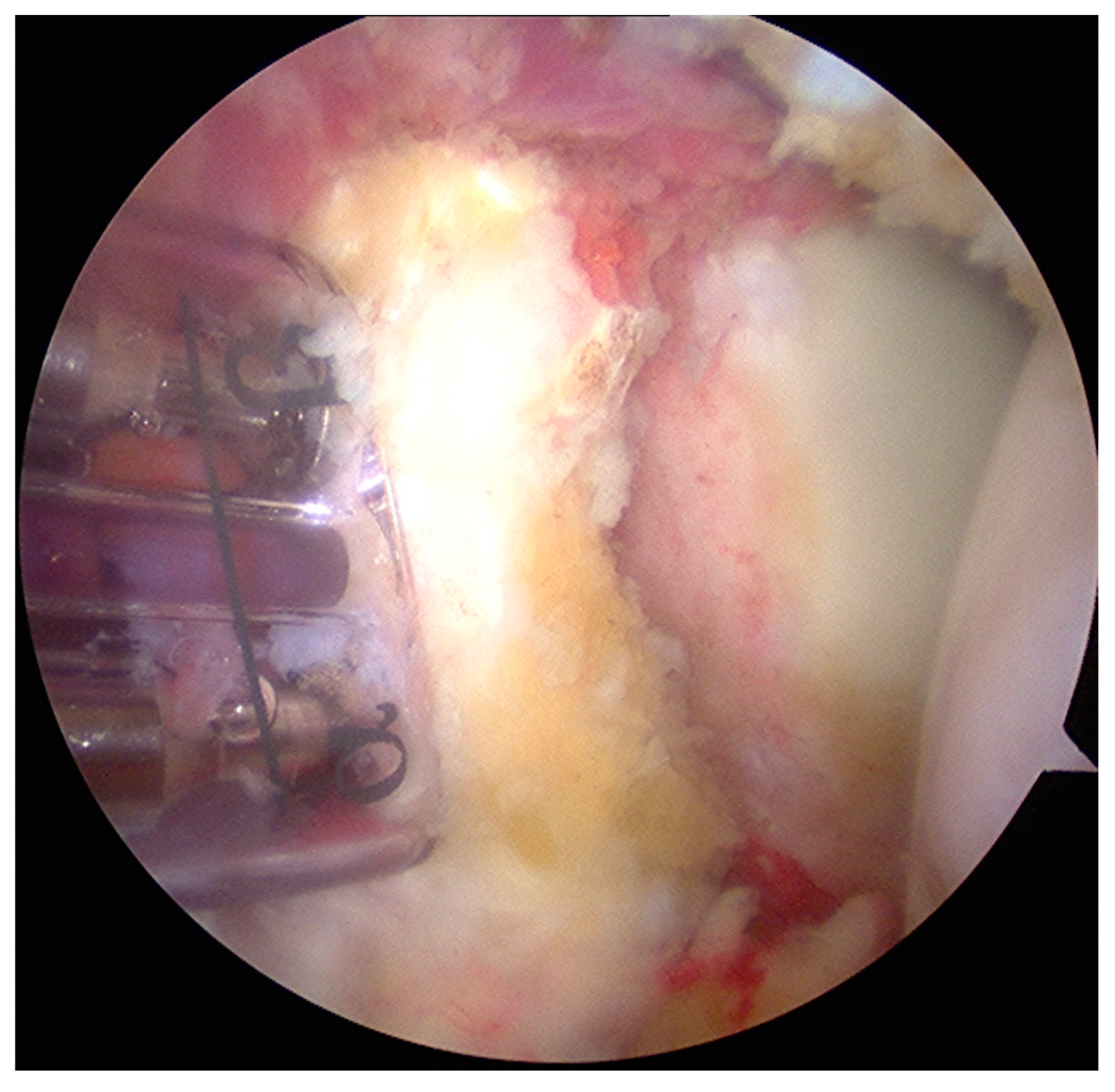 Medicina 55 00582 g003