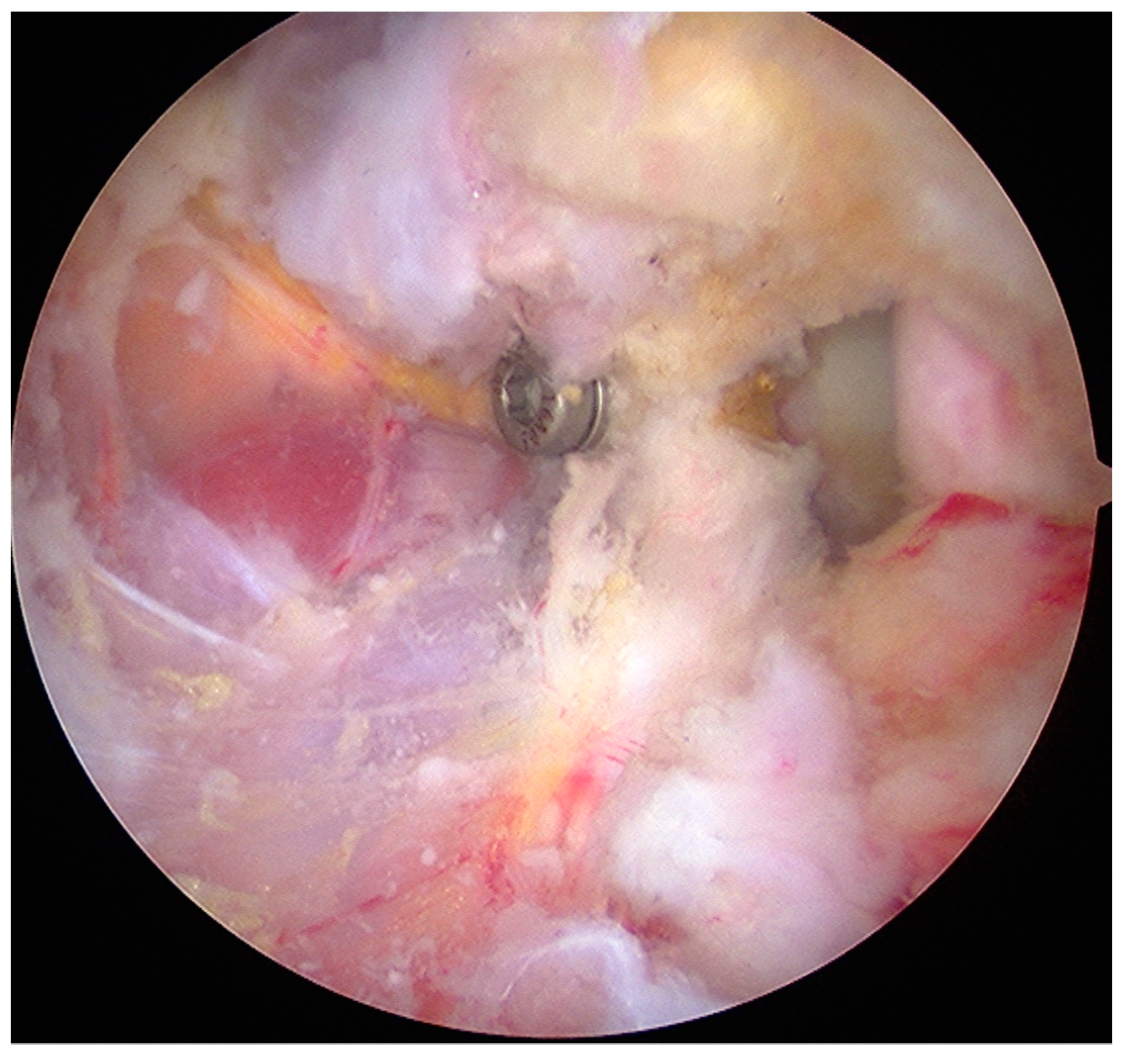 Medicina 55 00582 g004