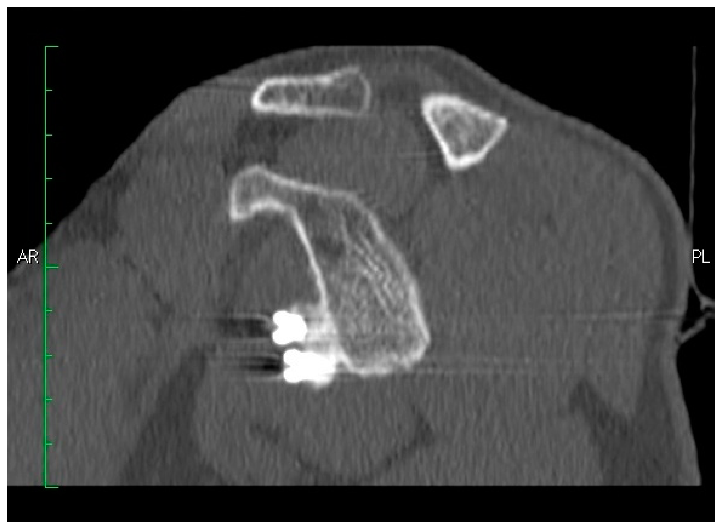 Medicina 55 00582 g006