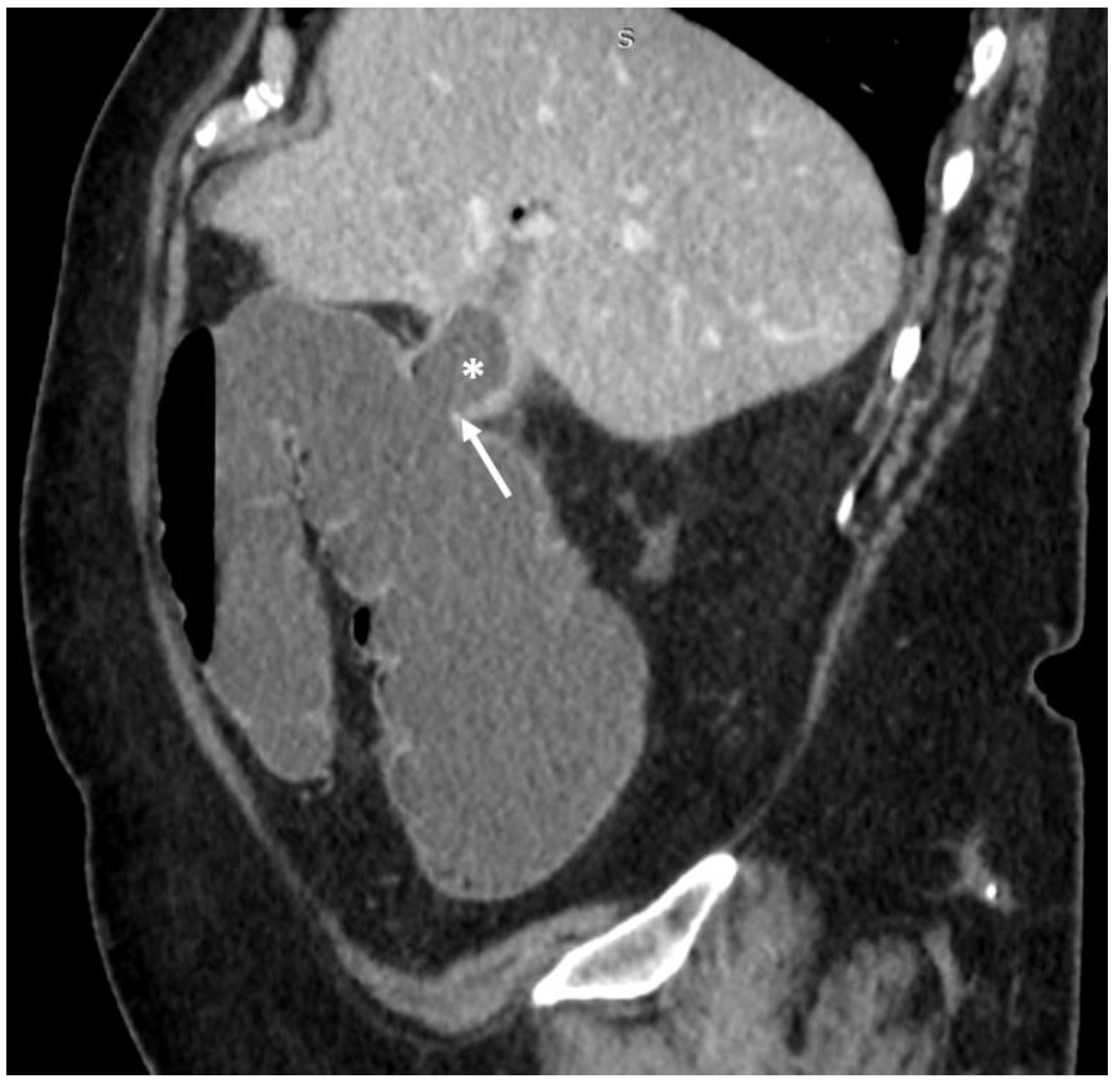 Medicina 55 00598 g002