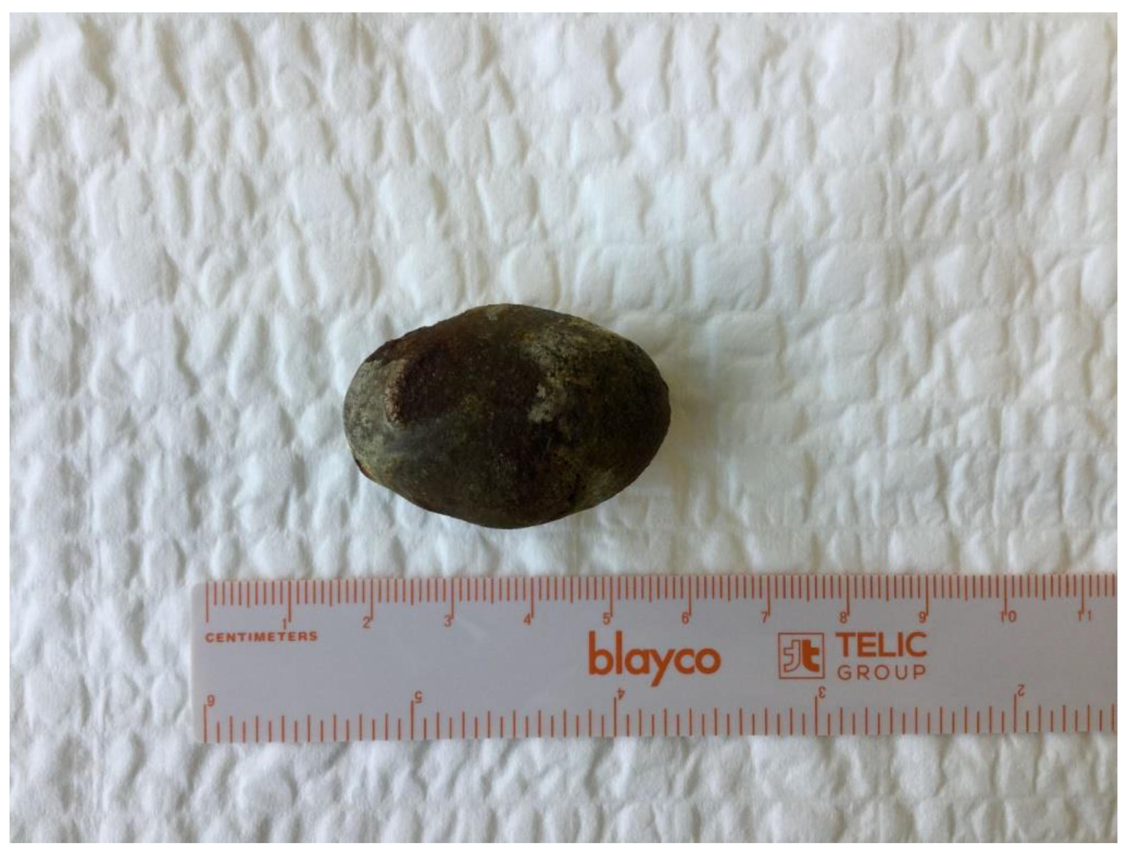 Medicina 55 00598 g007