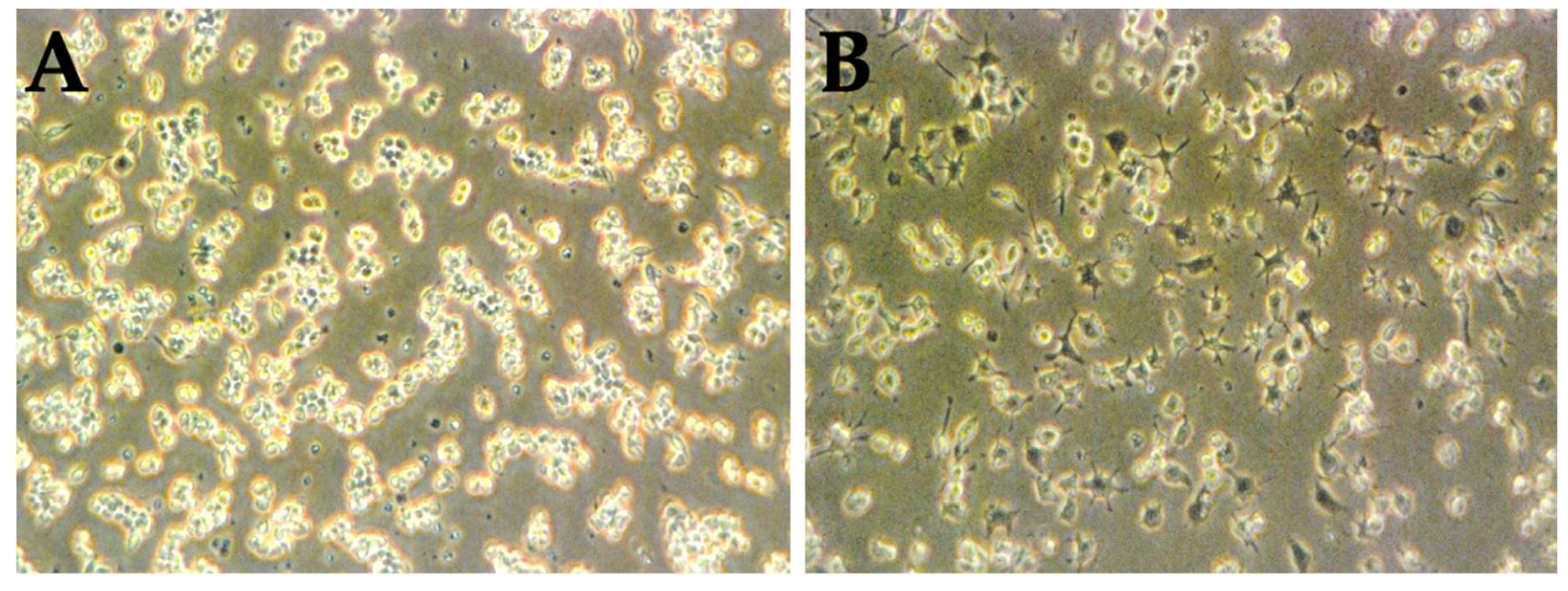 Medicina 55 00604 g003