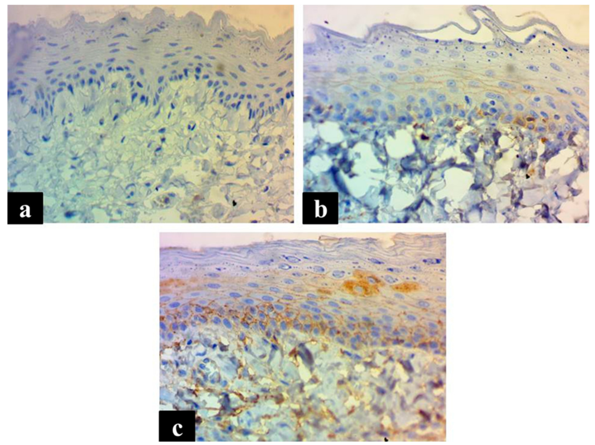 Medicina 55 00605 g001 Medicina 55 00605 g001